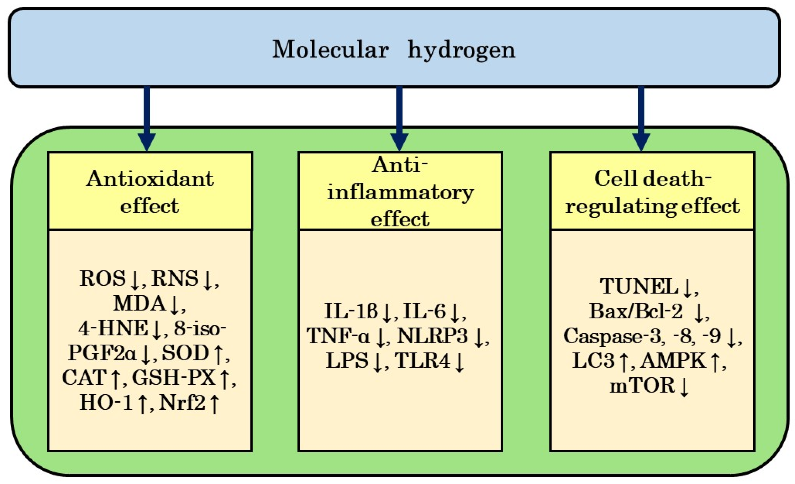 Biomedicines 12 01591 g002 Biomedicines 12 01591 g002