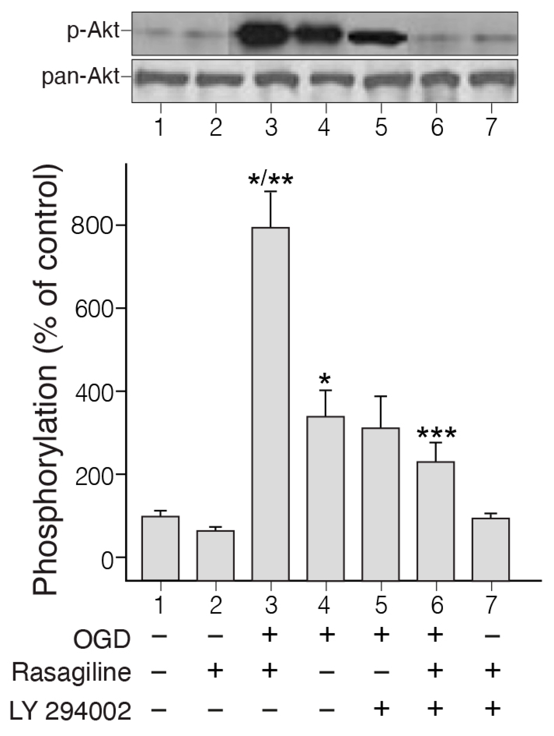 Biomedicines 12 01592 g002