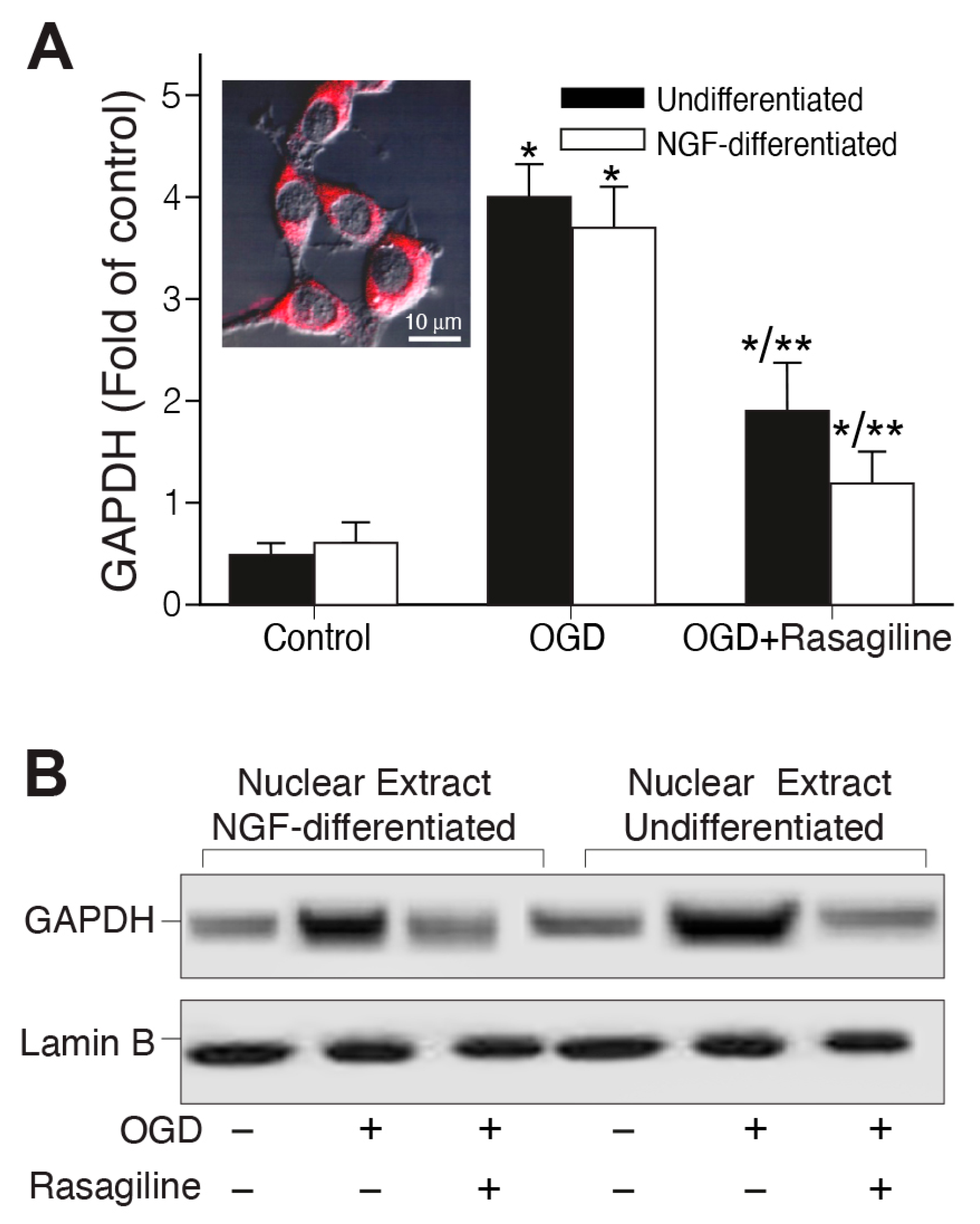 Biomedicines 12 01592 g003