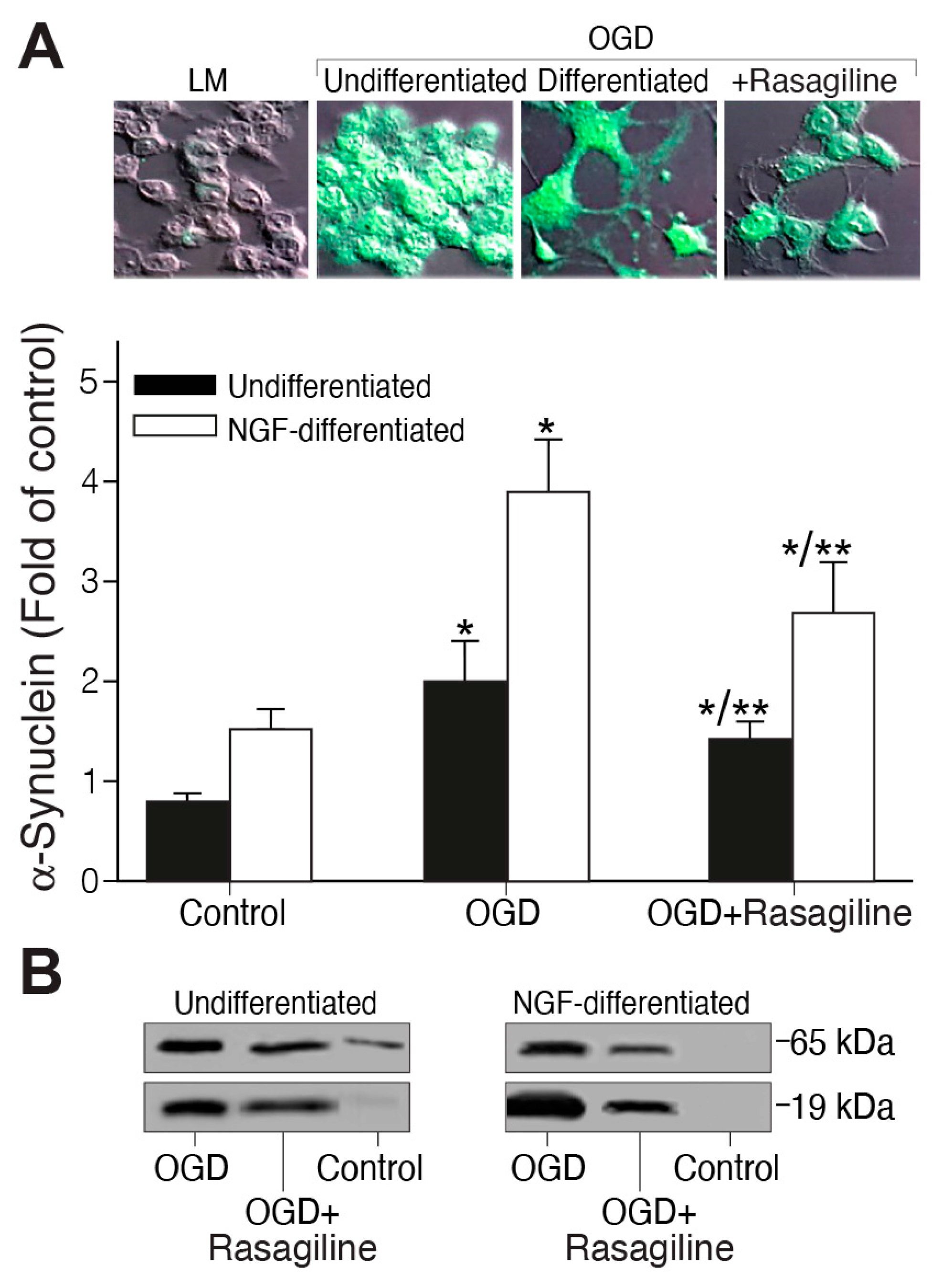 Biomedicines 12 01592 g006