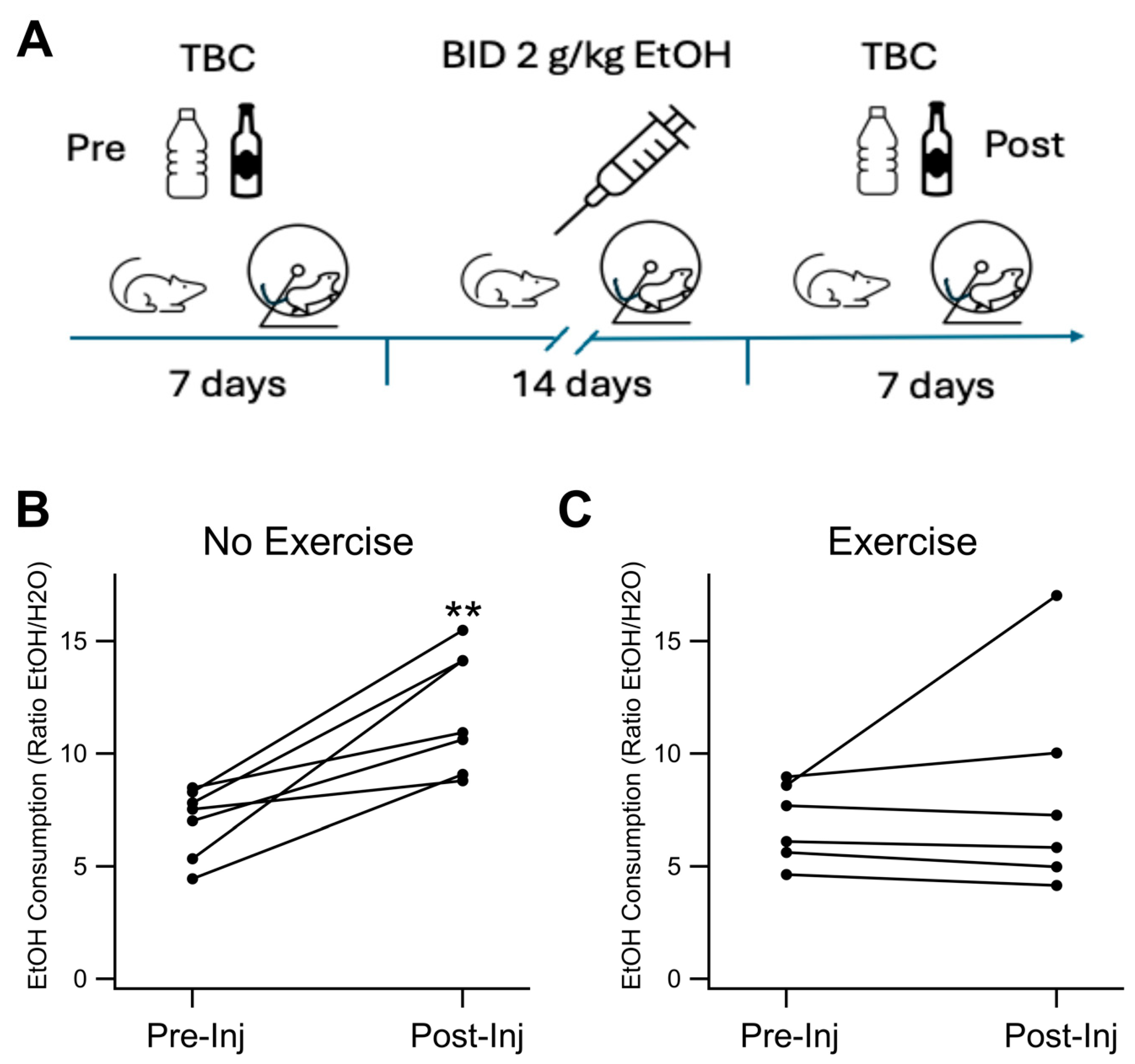 Biomedicines 12 01593 g001 Biomedicines 12 01593 g001
