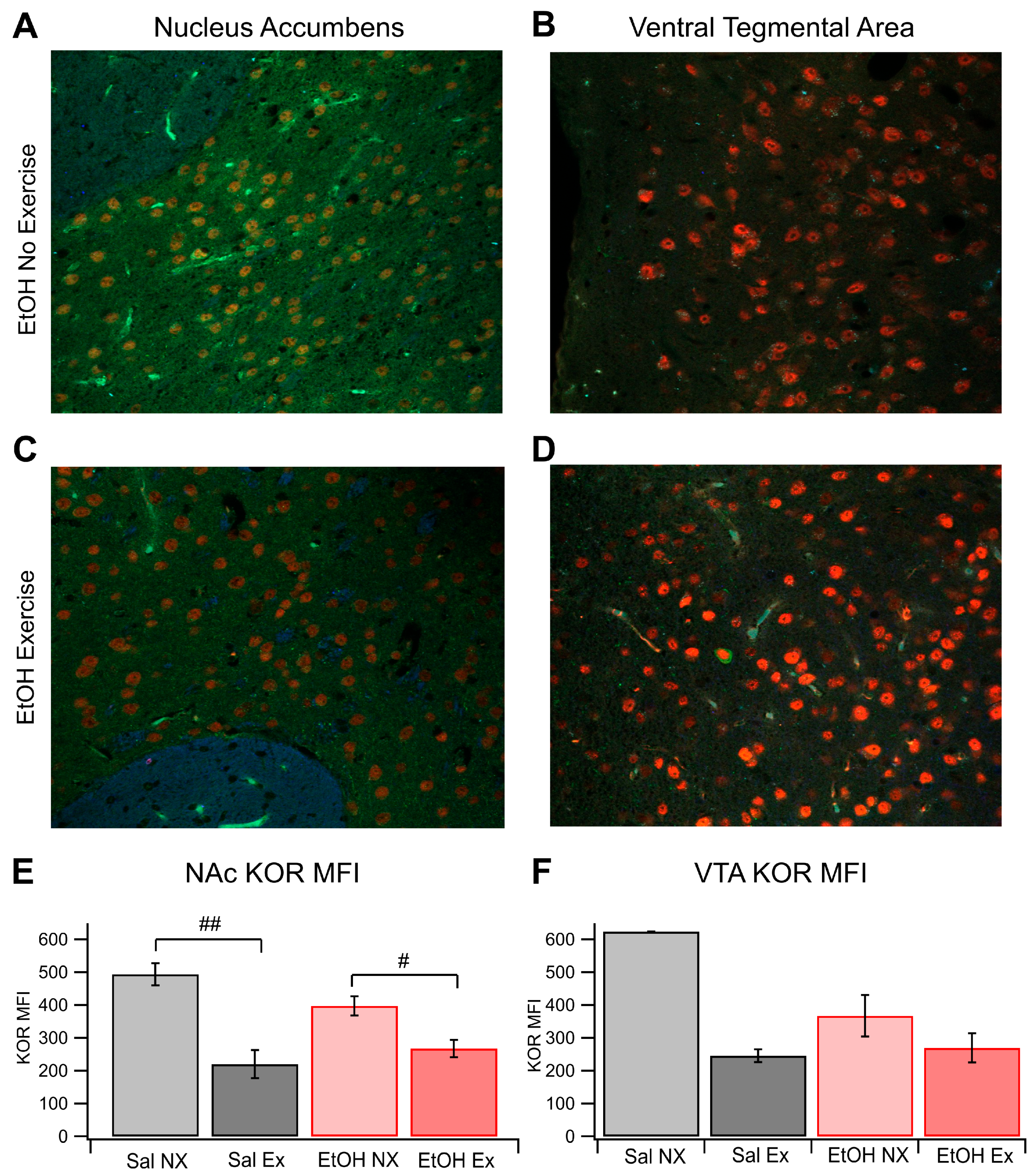 Biomedicines 12 01593 g002 Biomedicines 12 01593 g002