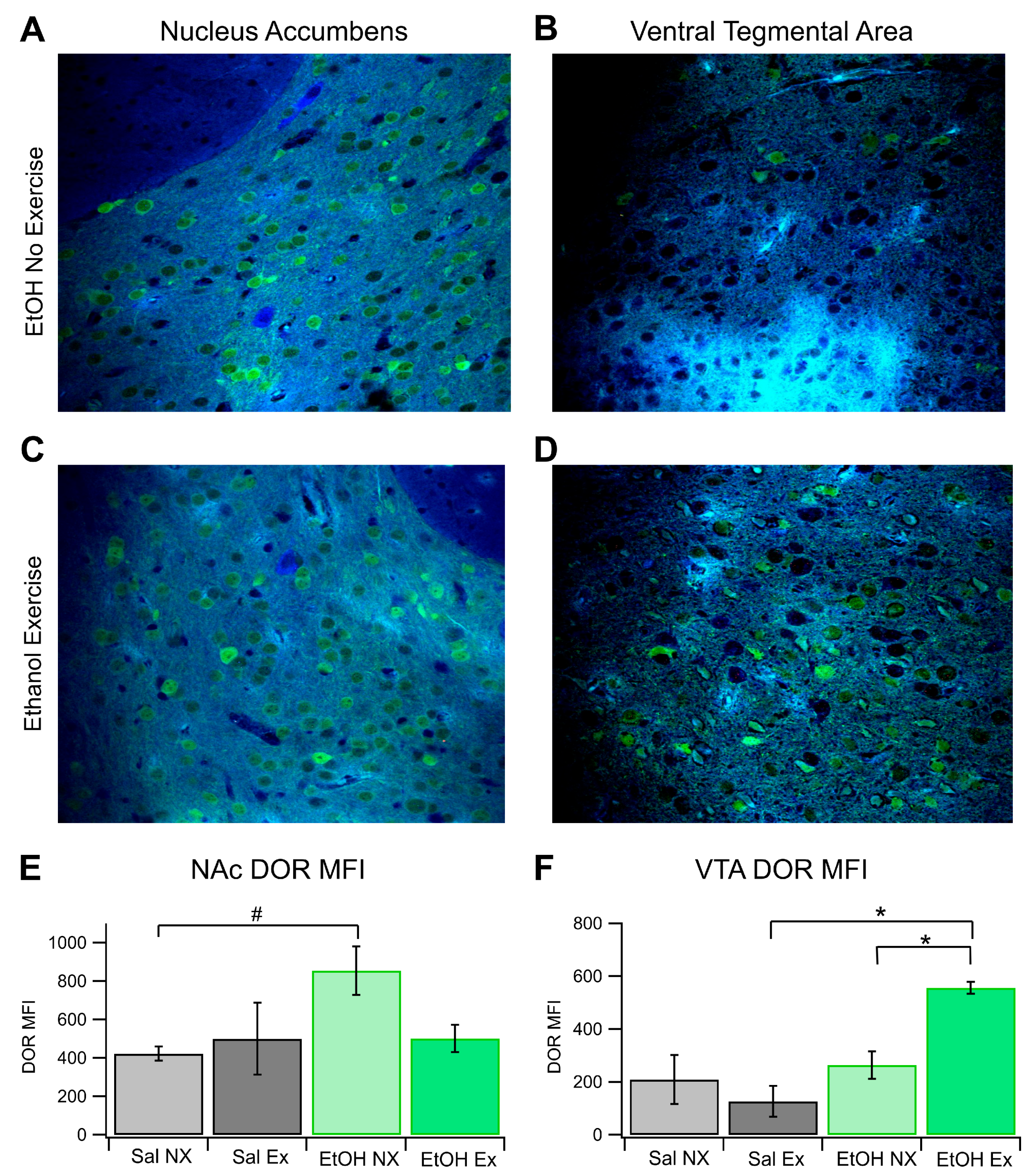 Biomedicines 12 01593 g004 Biomedicines 12 01593 g004