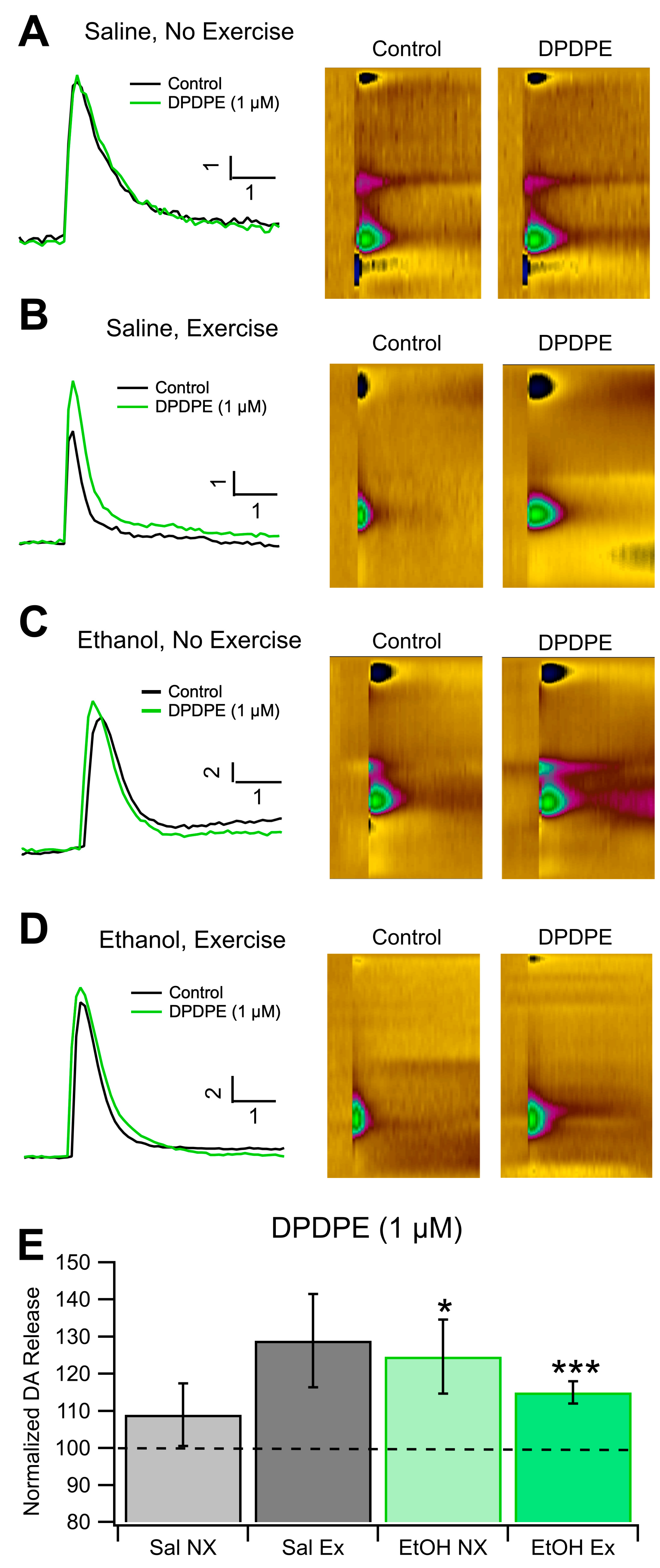 Biomedicines 12 01593 g005 Biomedicines 12 01593 g005