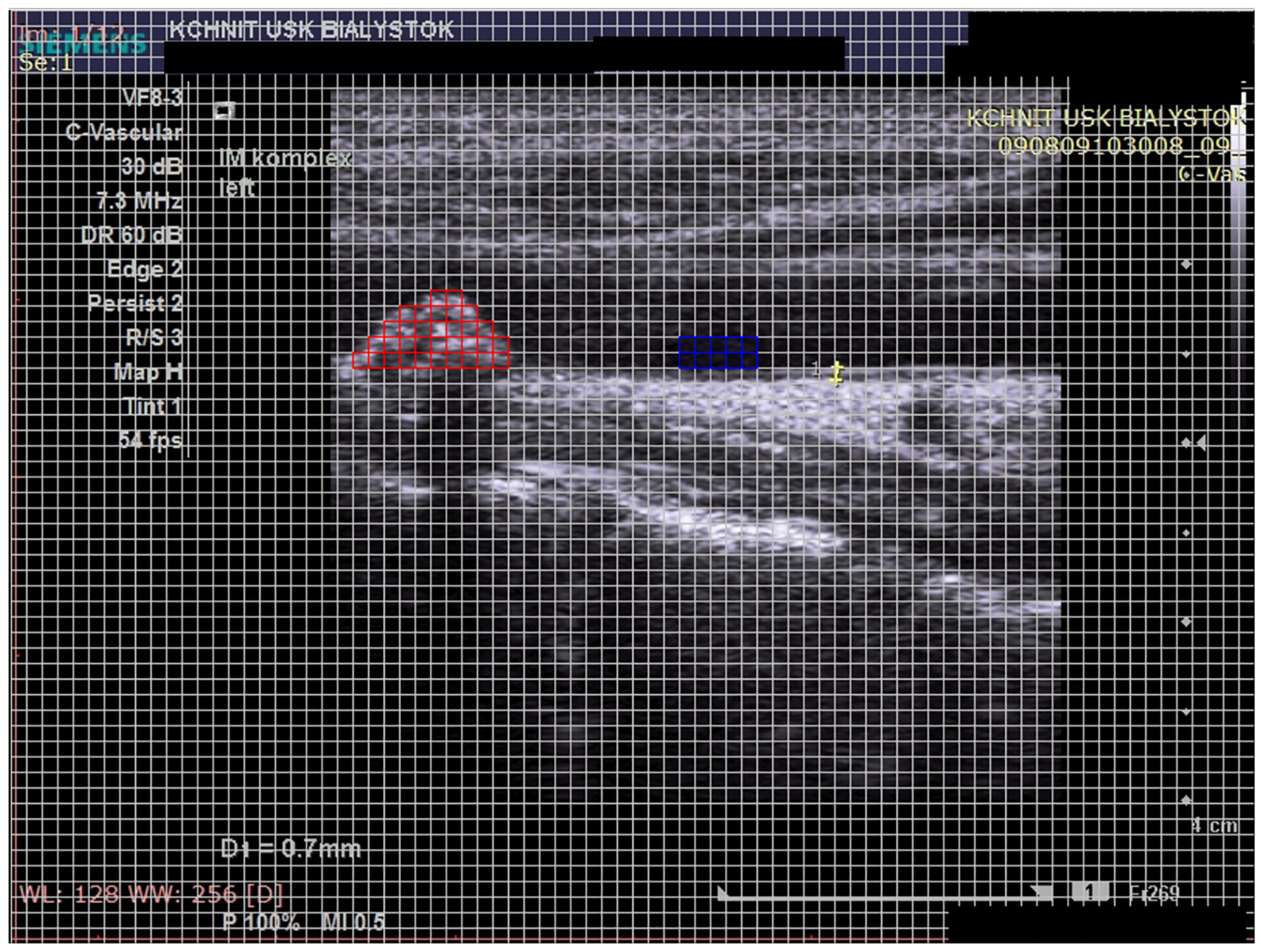 Biomedicines 12 01594 g001 Biomedicines 12 01594 g001