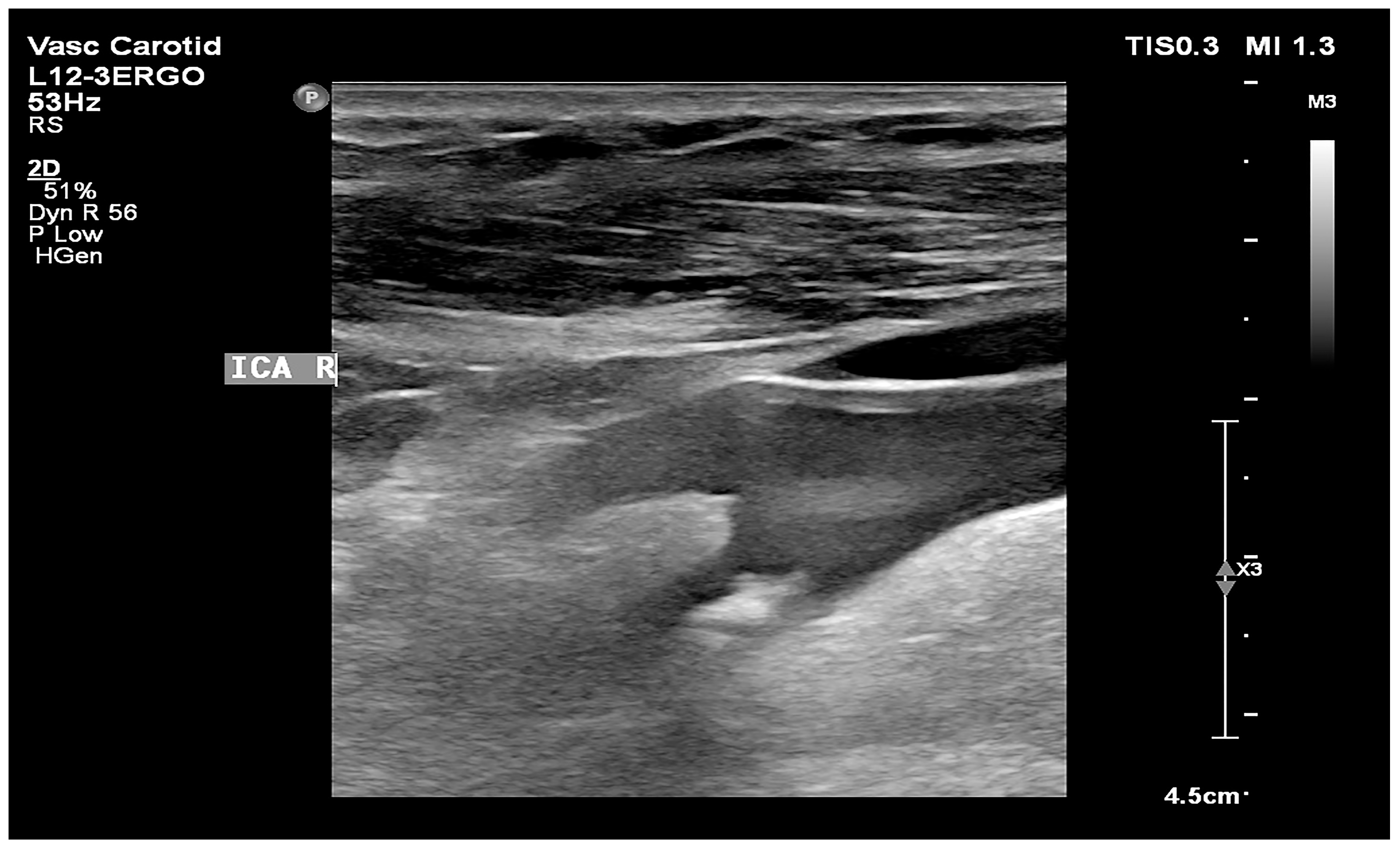 Biomedicines 12 01594 g003 Biomedicines 12 01594 g003