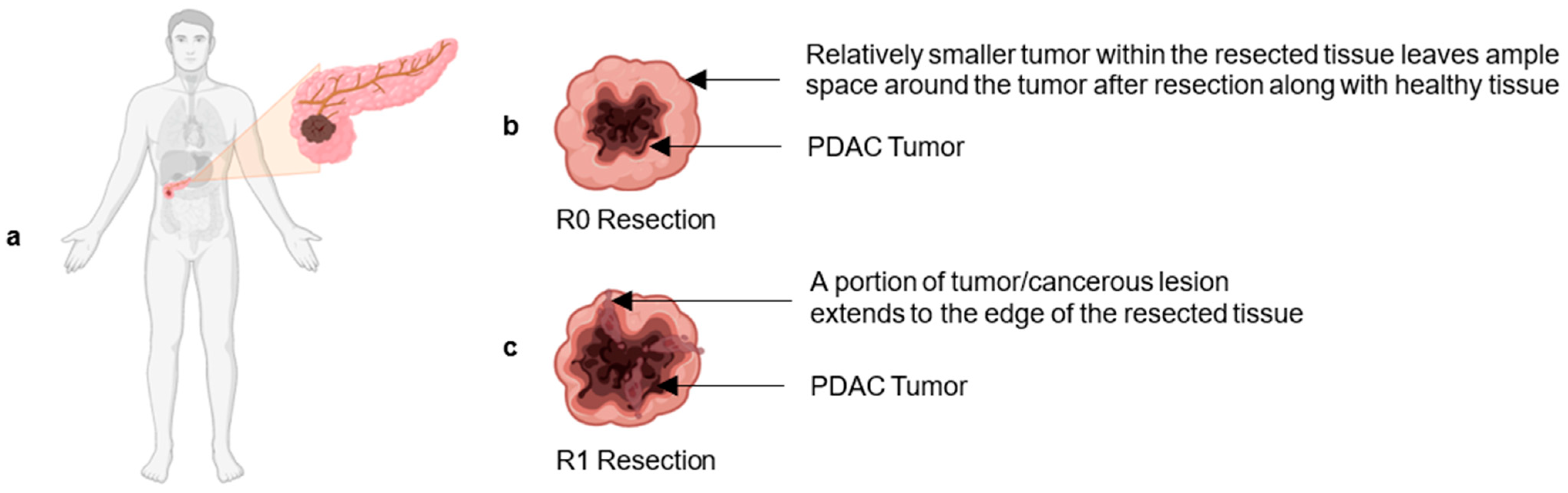 Biomedicines 12 01596 g001 Biomedicines 12 01596 g001