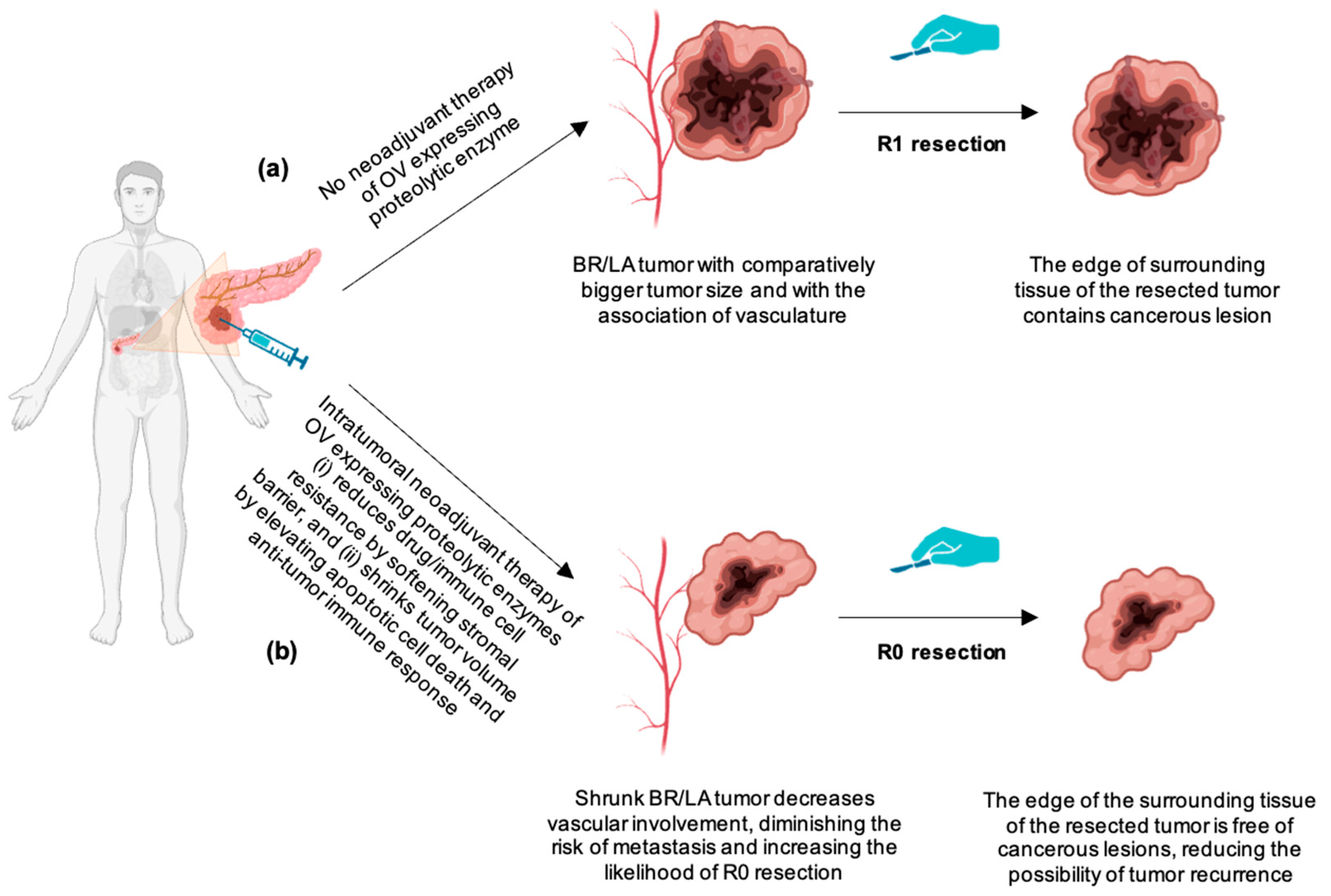 Biomedicines 12 01596 g004 Biomedicines 12 01596 g004