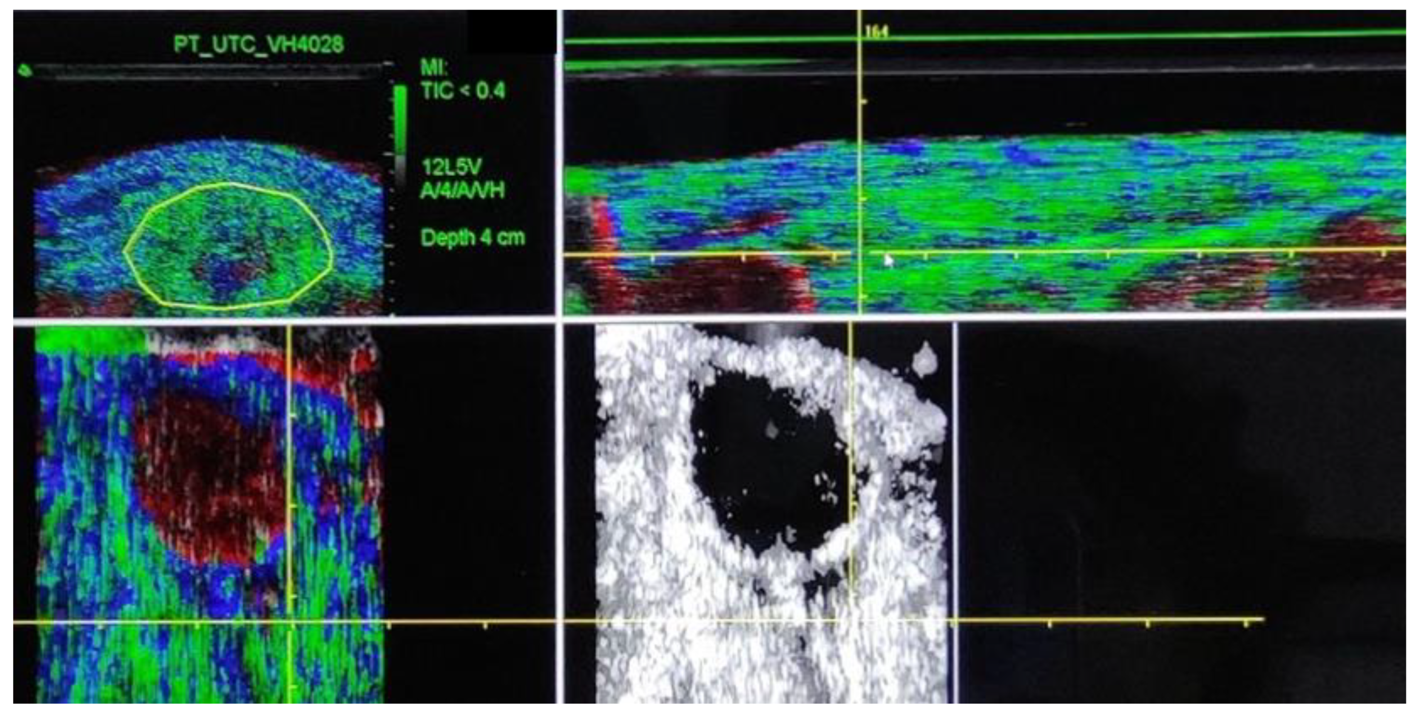 Biomedicines 12 01599 g001