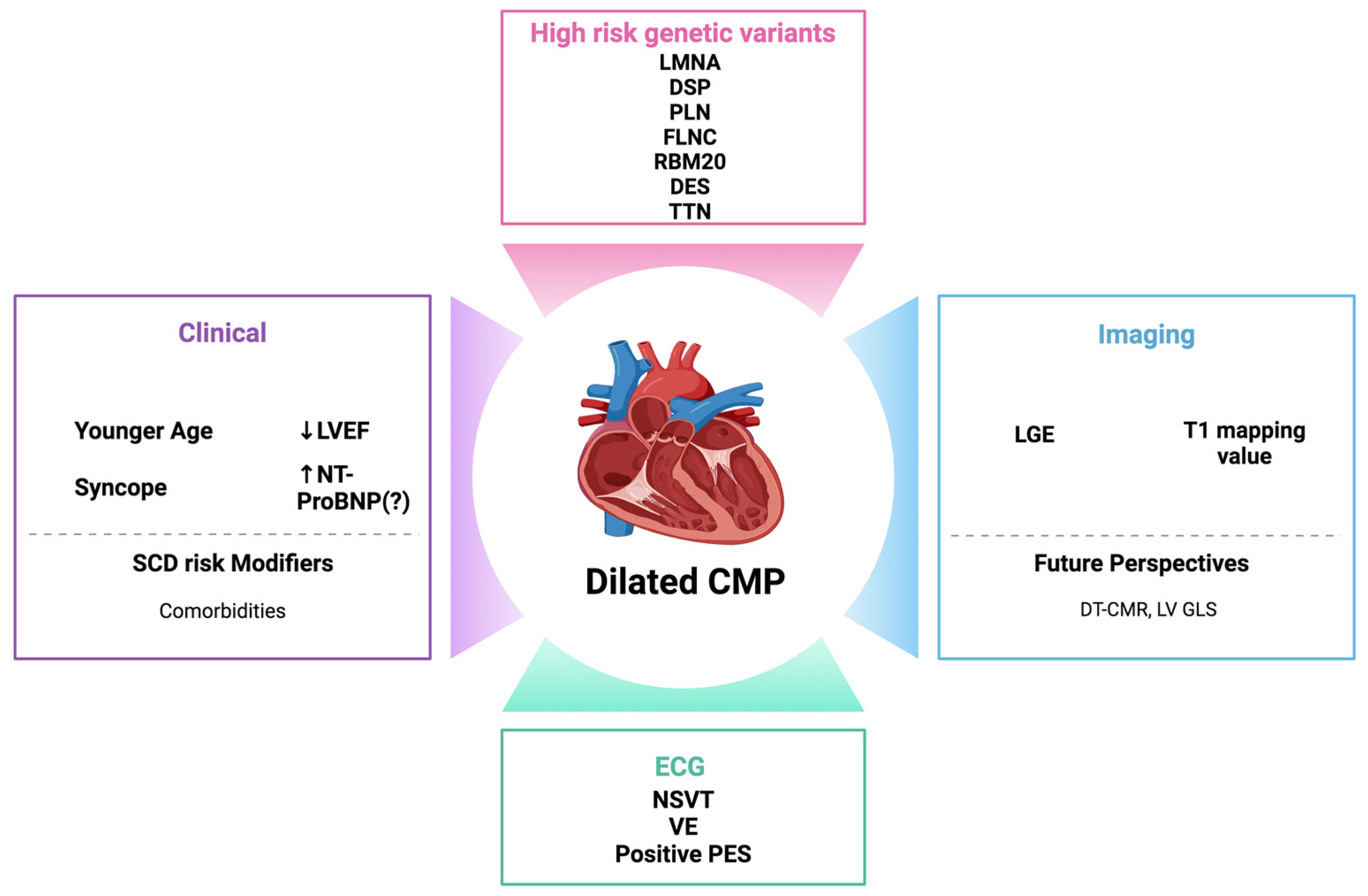 Biomedicines 12 01602 g002