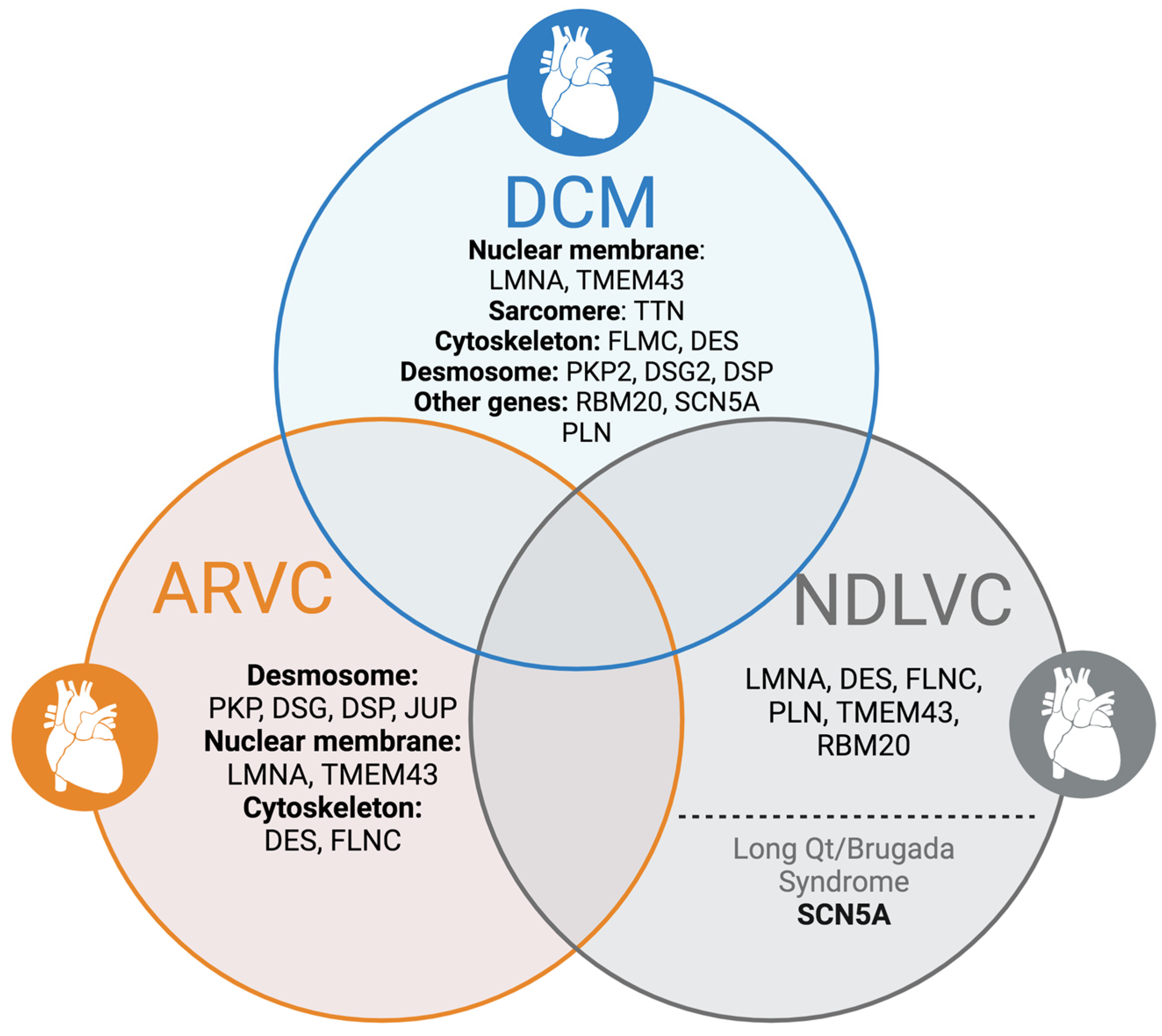 Biomedicines 12 01602 g004