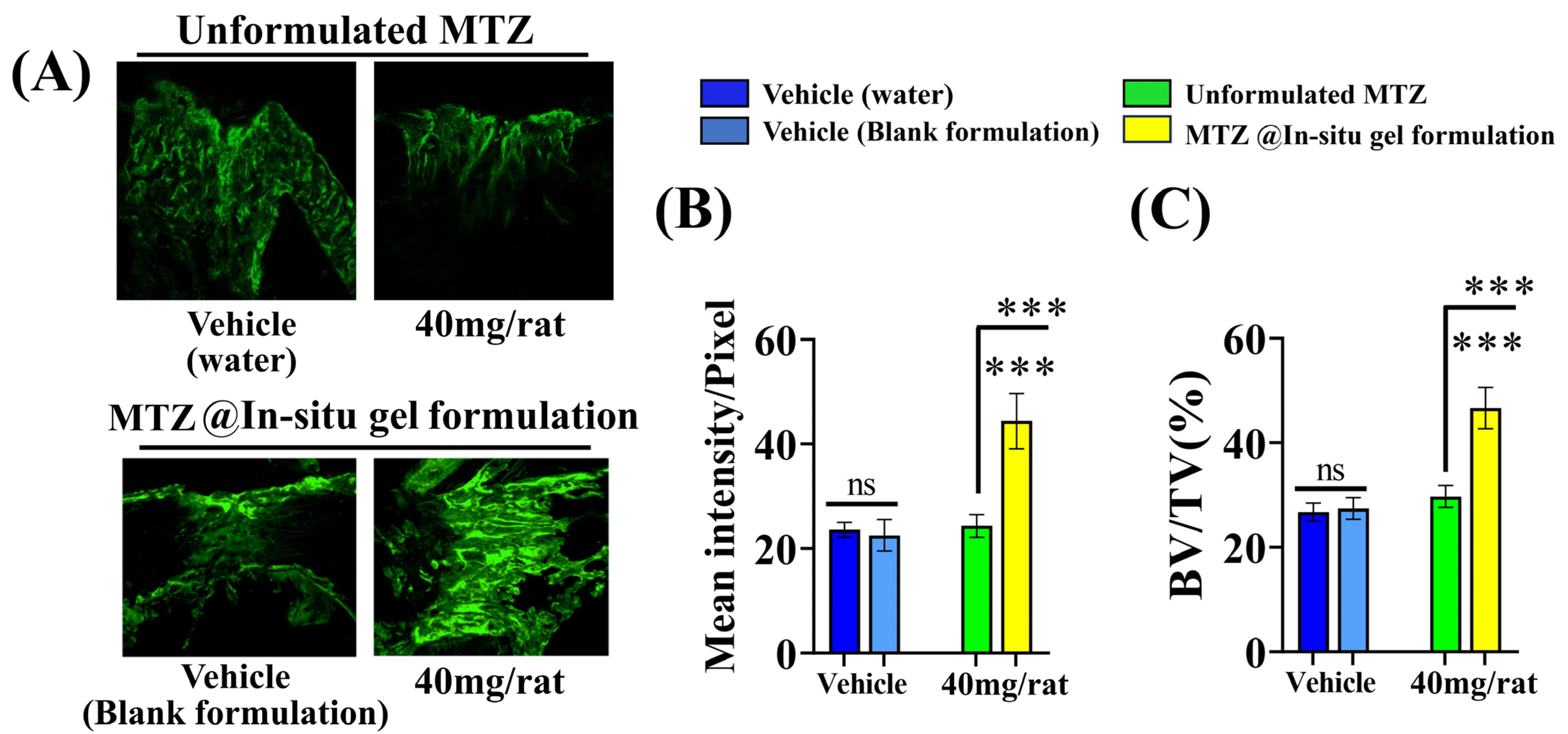 Biomedicines 12 01603 g008