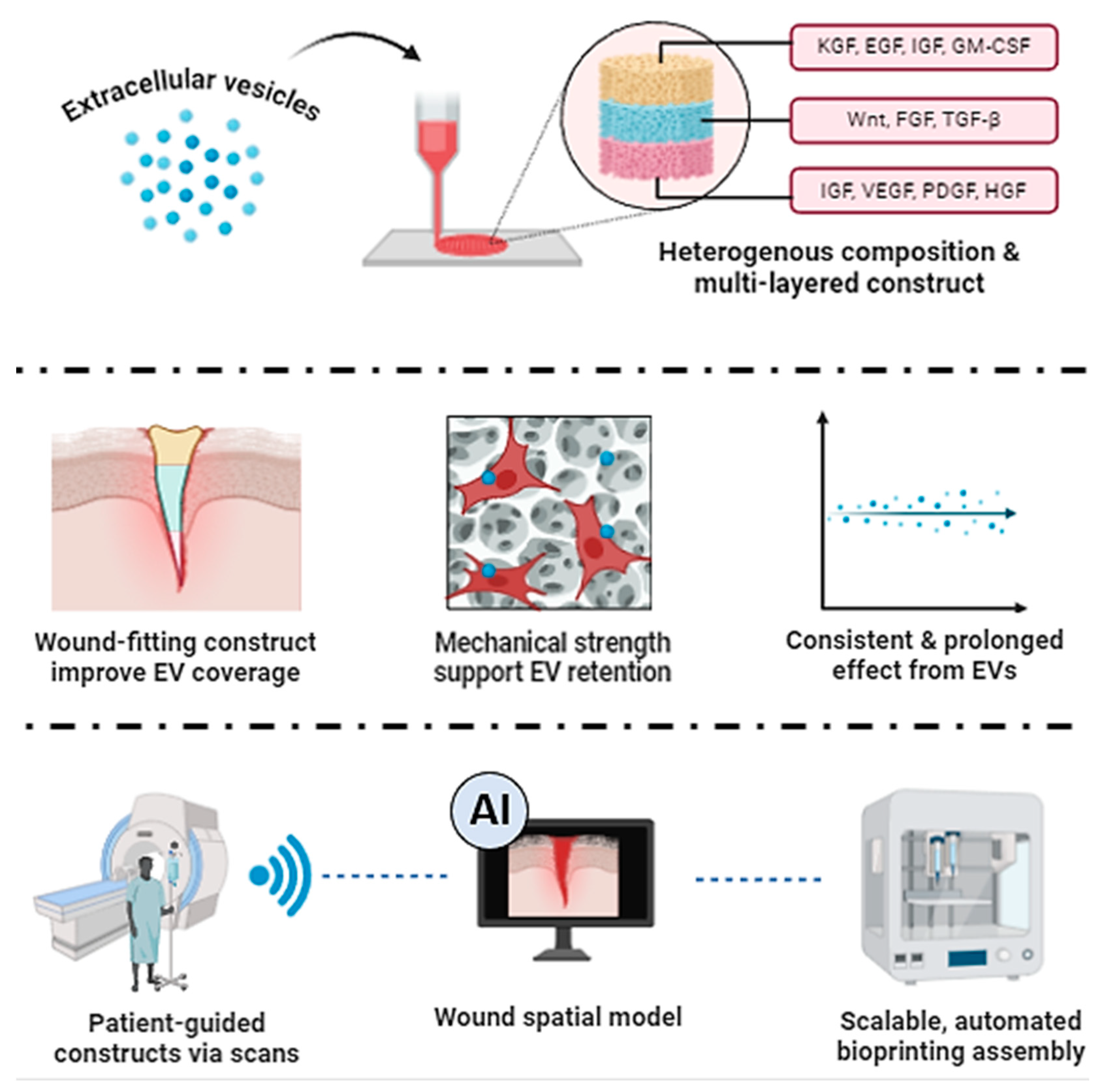 Biomedicines 12 01605 g004