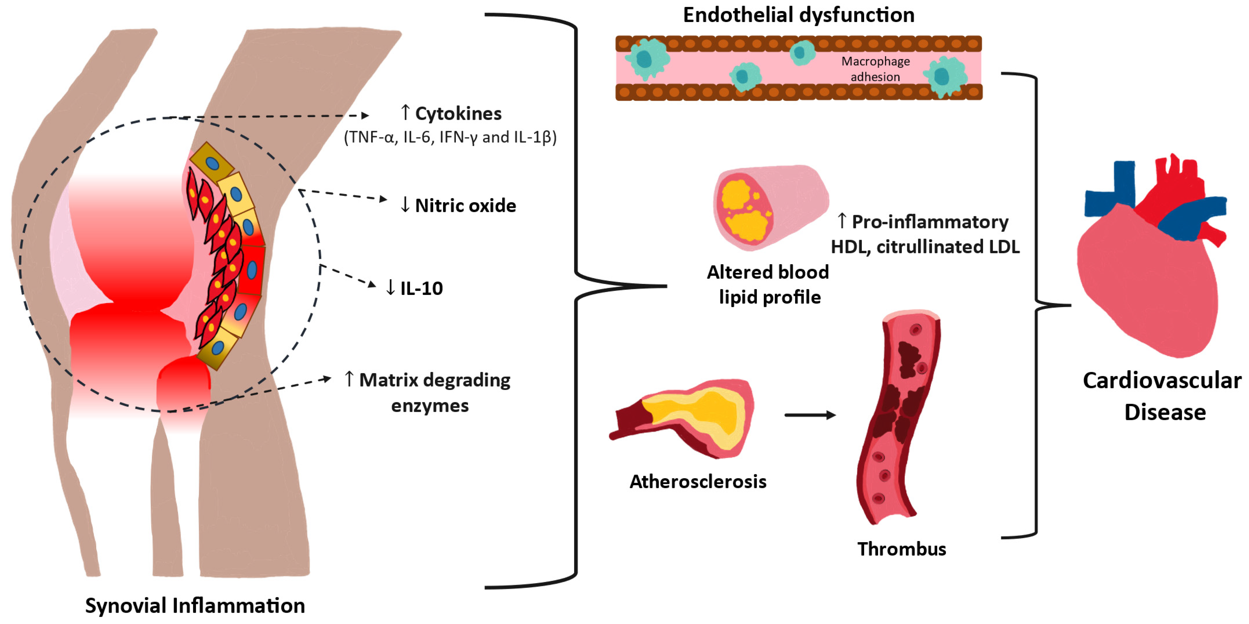 Biomedicines 12 01608 g001 Biomedicines 12 01608 g001