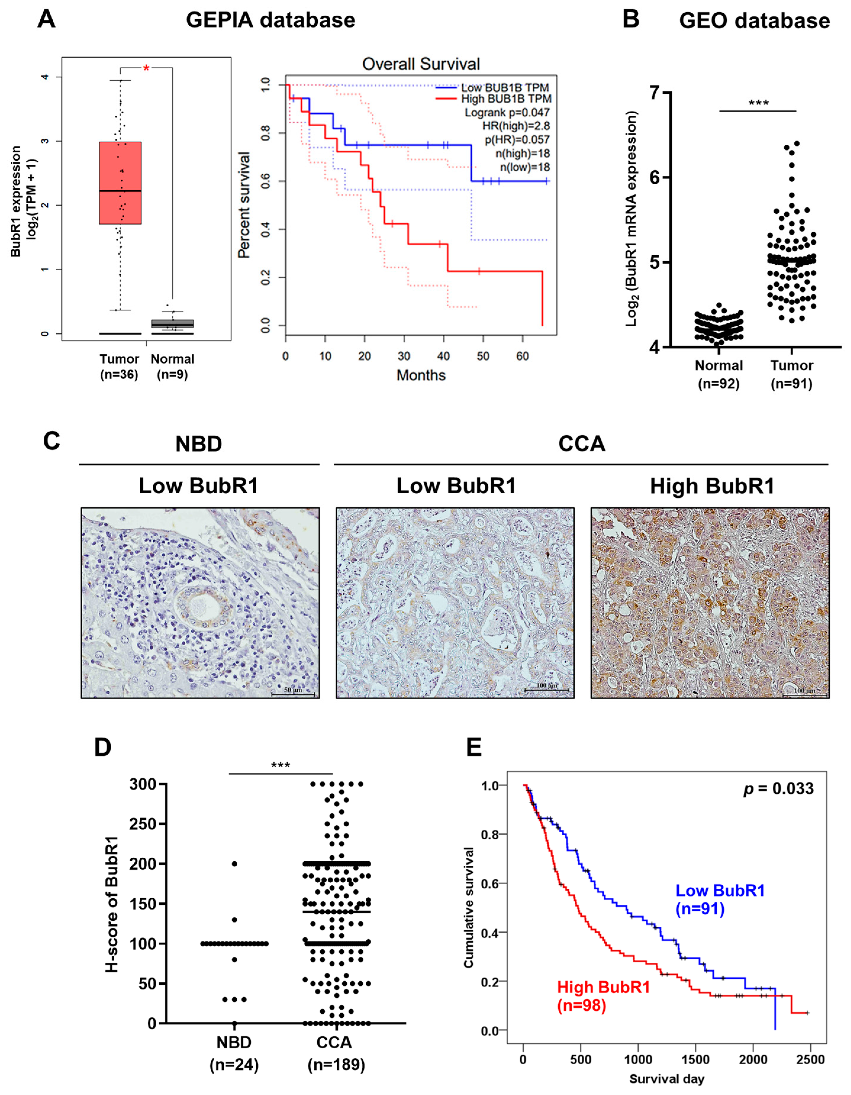 Biomedicines 12 01611 g002