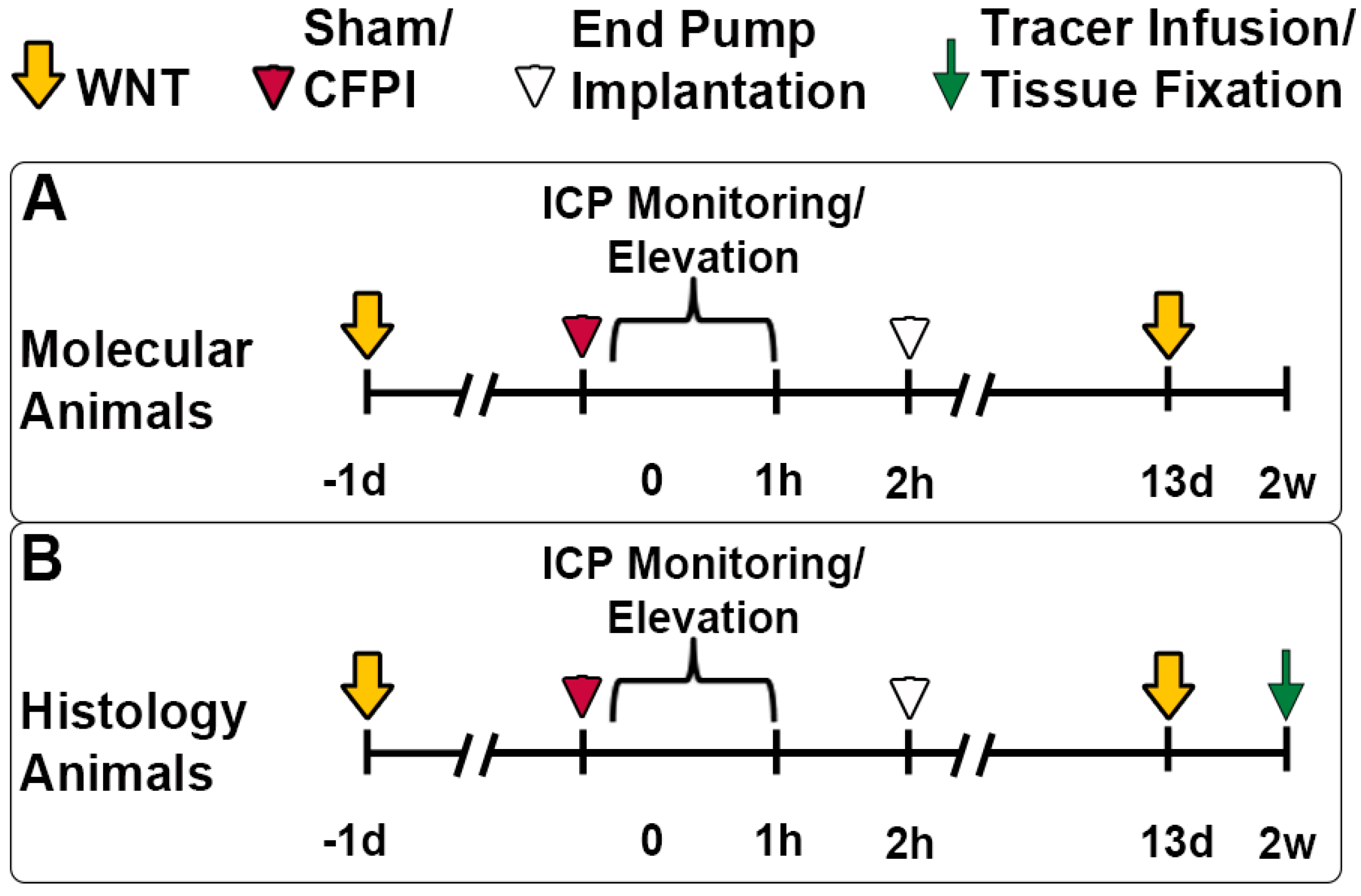 Biomedicines 12 01612 g001