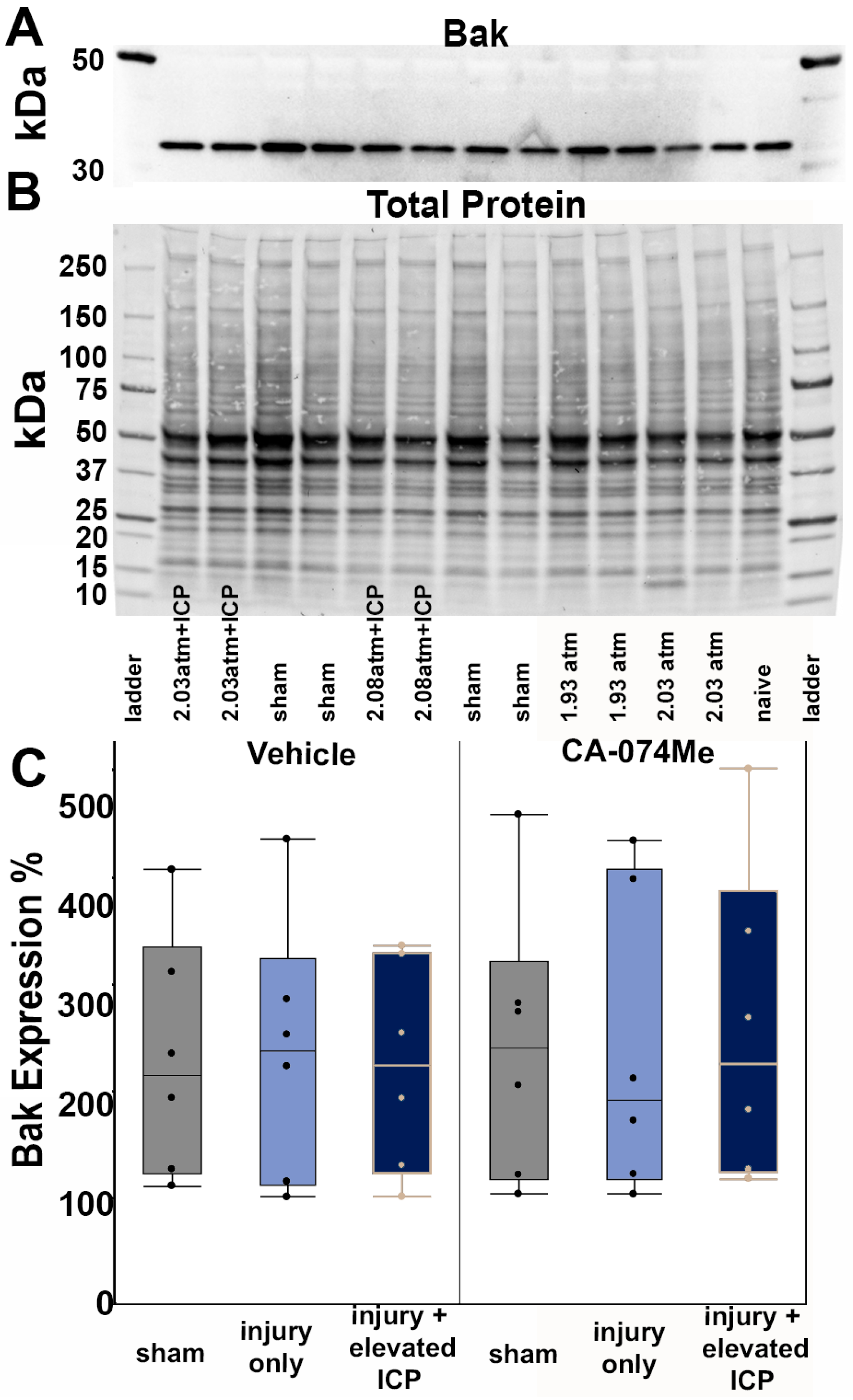 Biomedicines 12 01612 g005