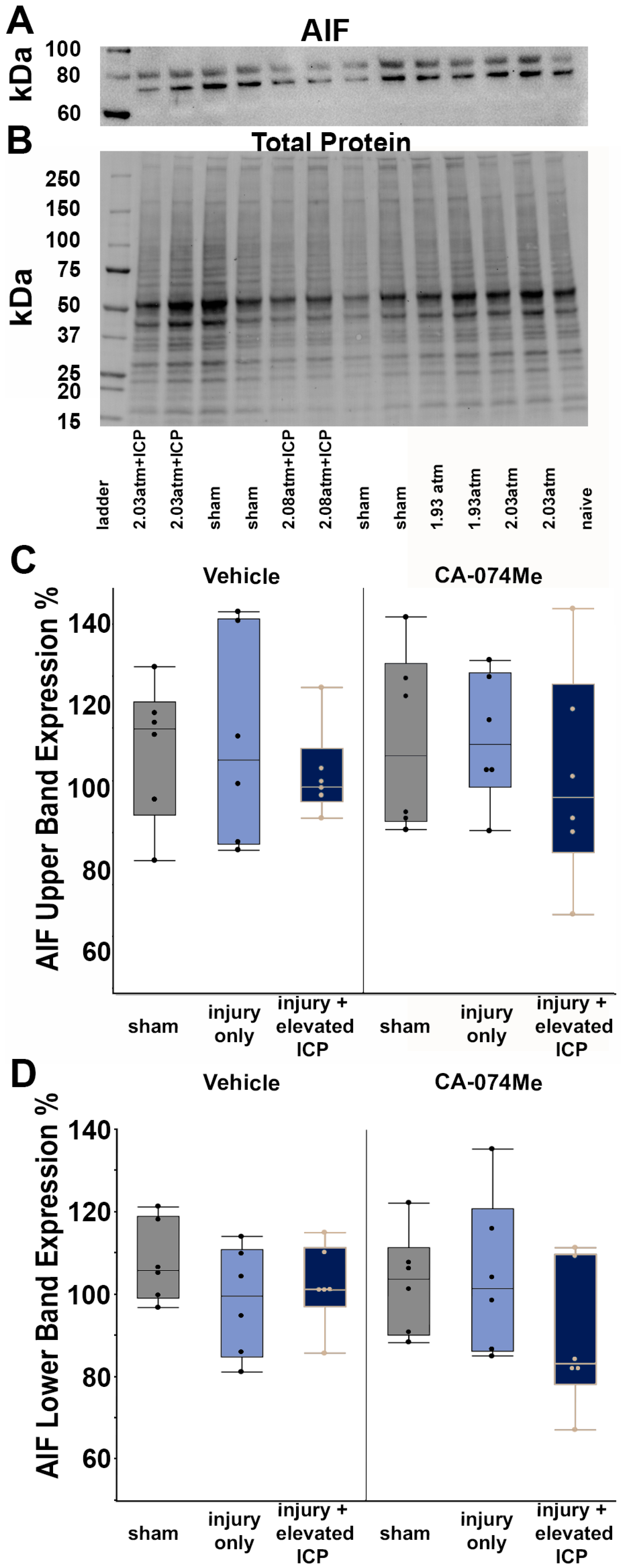 Biomedicines 12 01612 g006