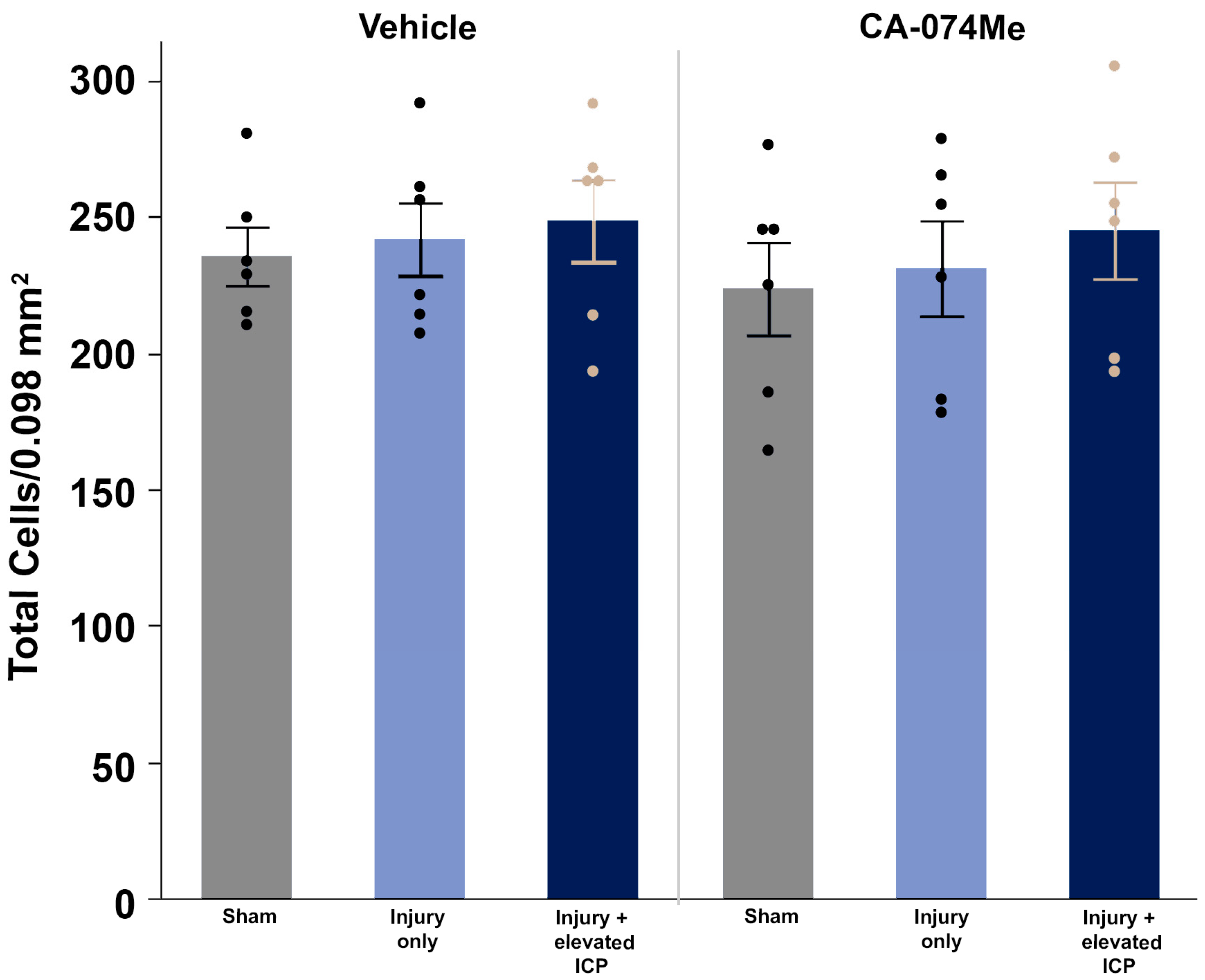 Biomedicines 12 01612 g008