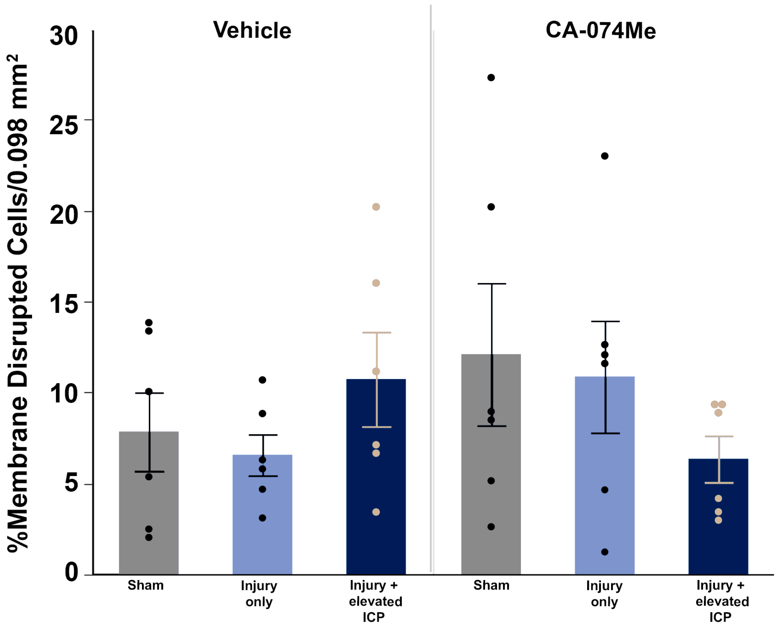 Biomedicines 12 01612 g009