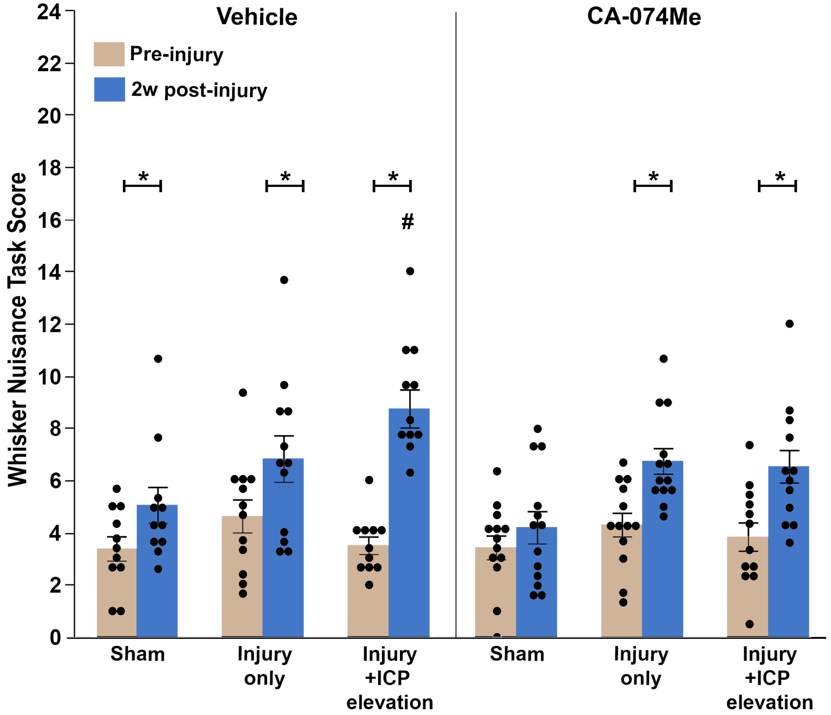 Biomedicines 12 01612 g012