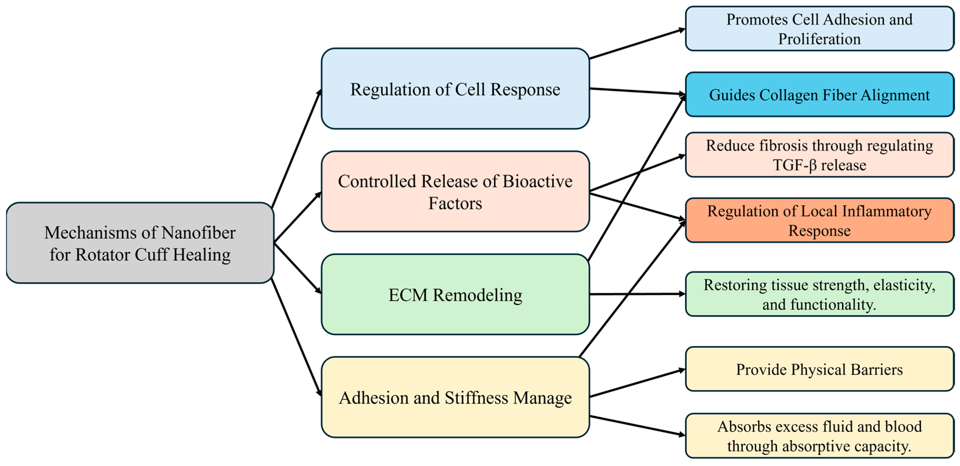 Biomedicines 12 01613 g002