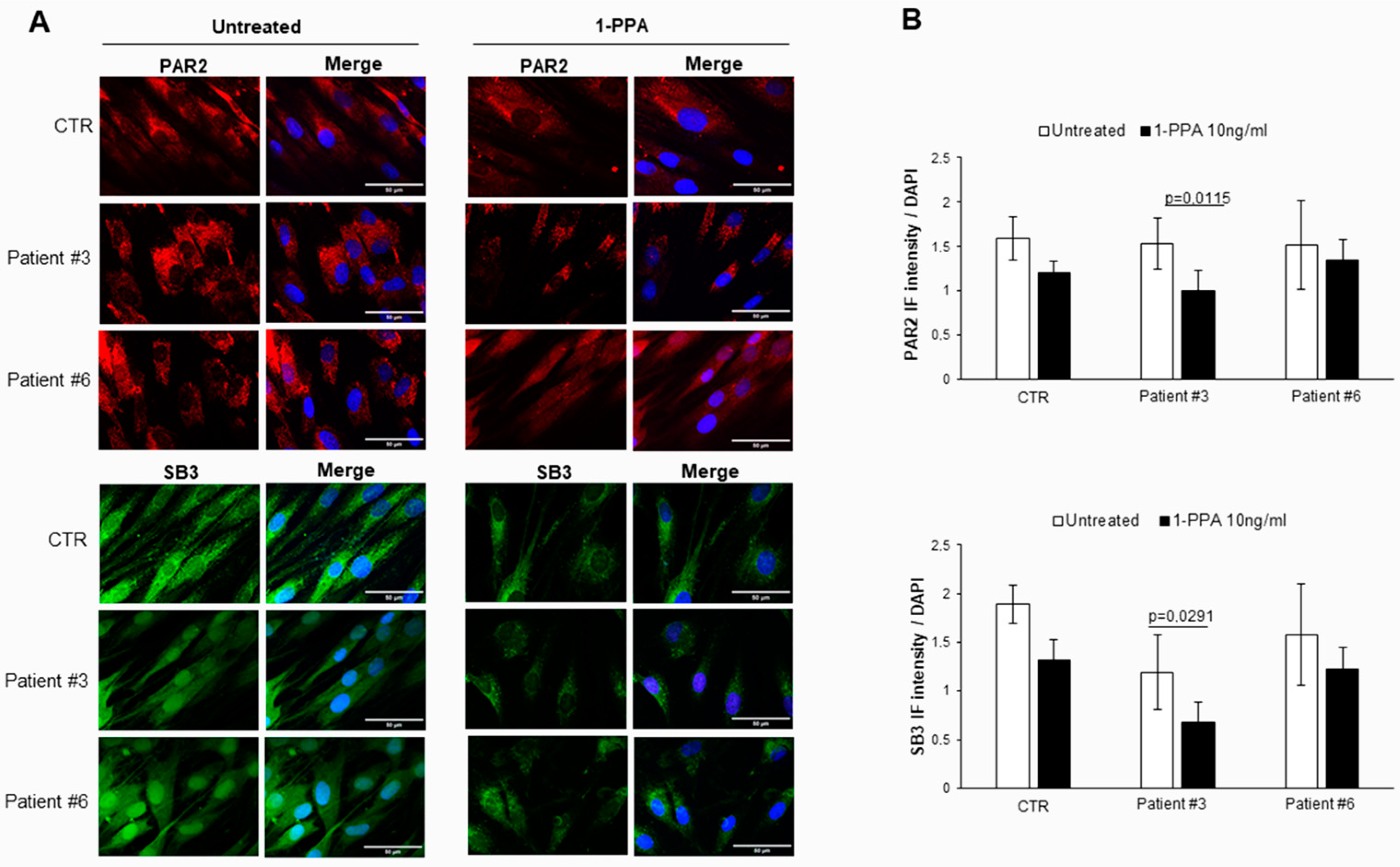 Biomedicines 12 01623 g003