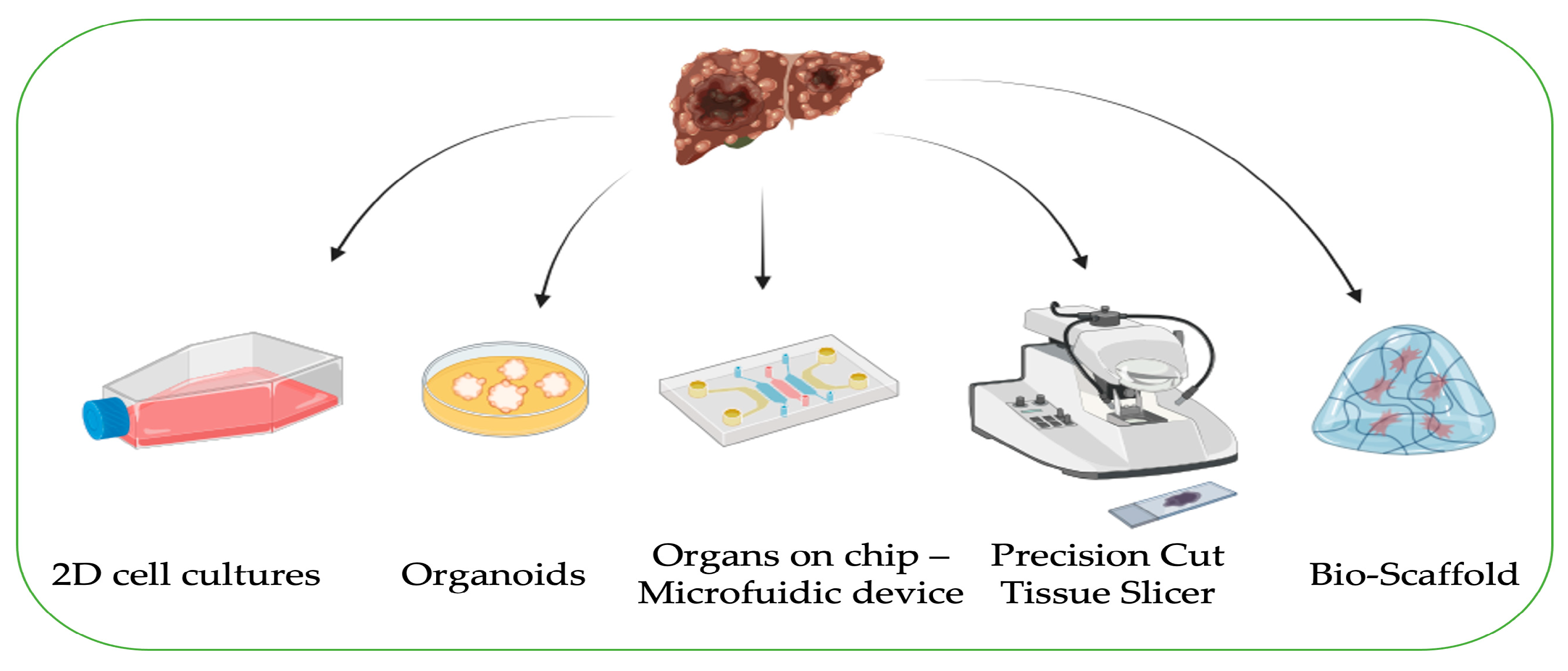Biomedicines 12 01624 g002 Biomedicines 12 01624 g002