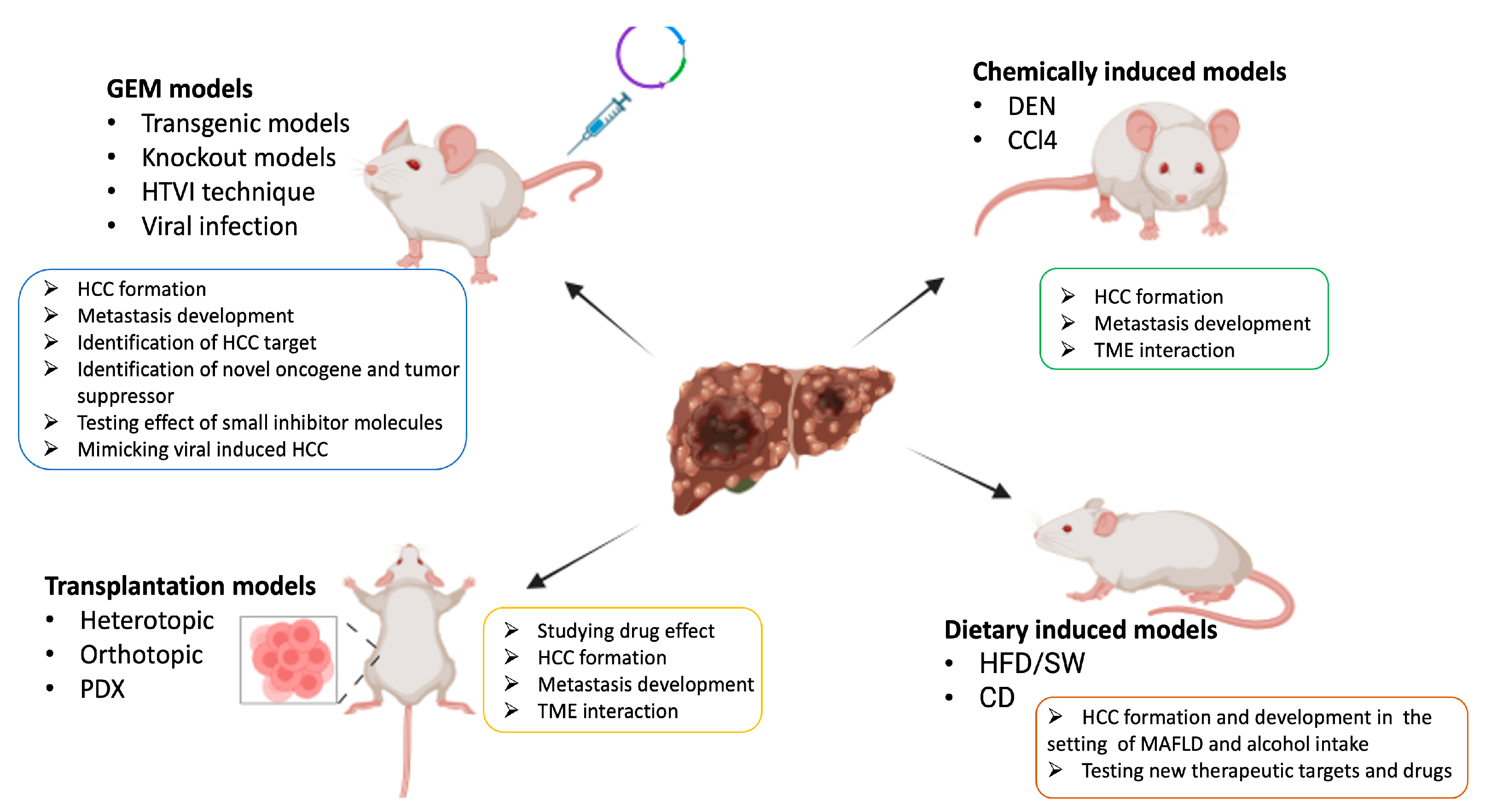 Biomedicines 12 01624 g003 Biomedicines 12 01624 g003
