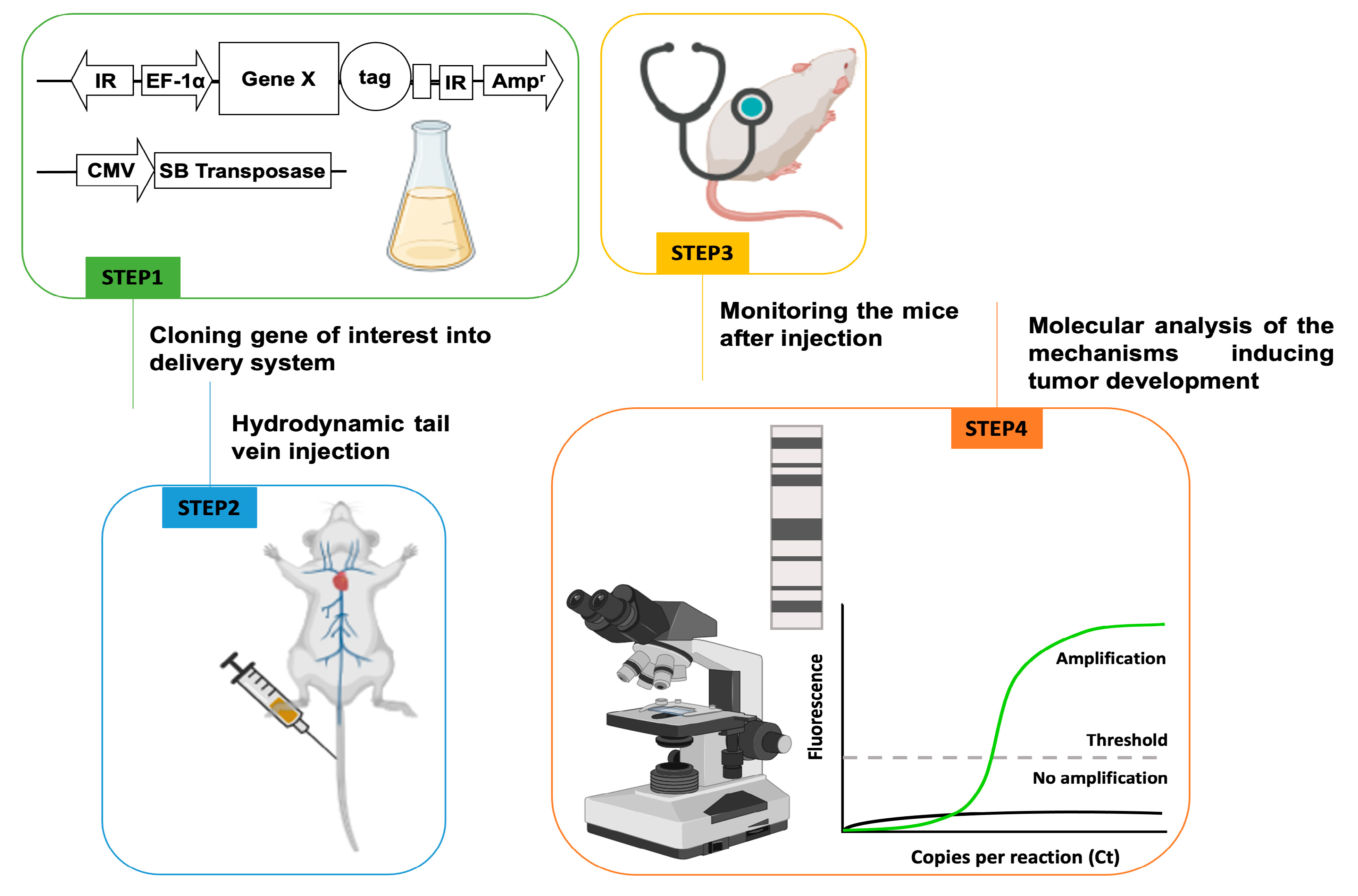 Biomedicines 12 01624 g005 Biomedicines 12 01624 g005