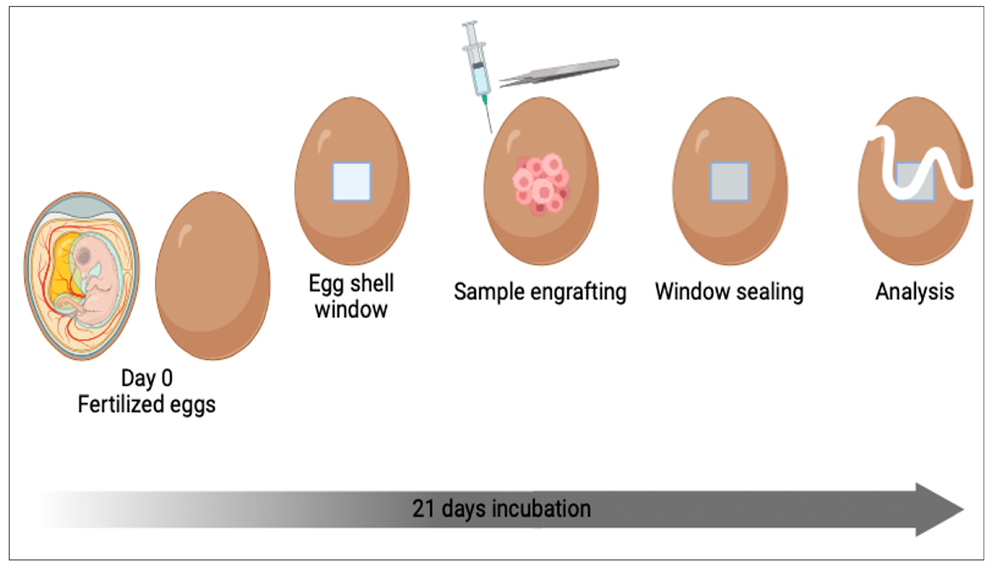 Biomedicines 12 01624 g006 Biomedicines 12 01624 g006