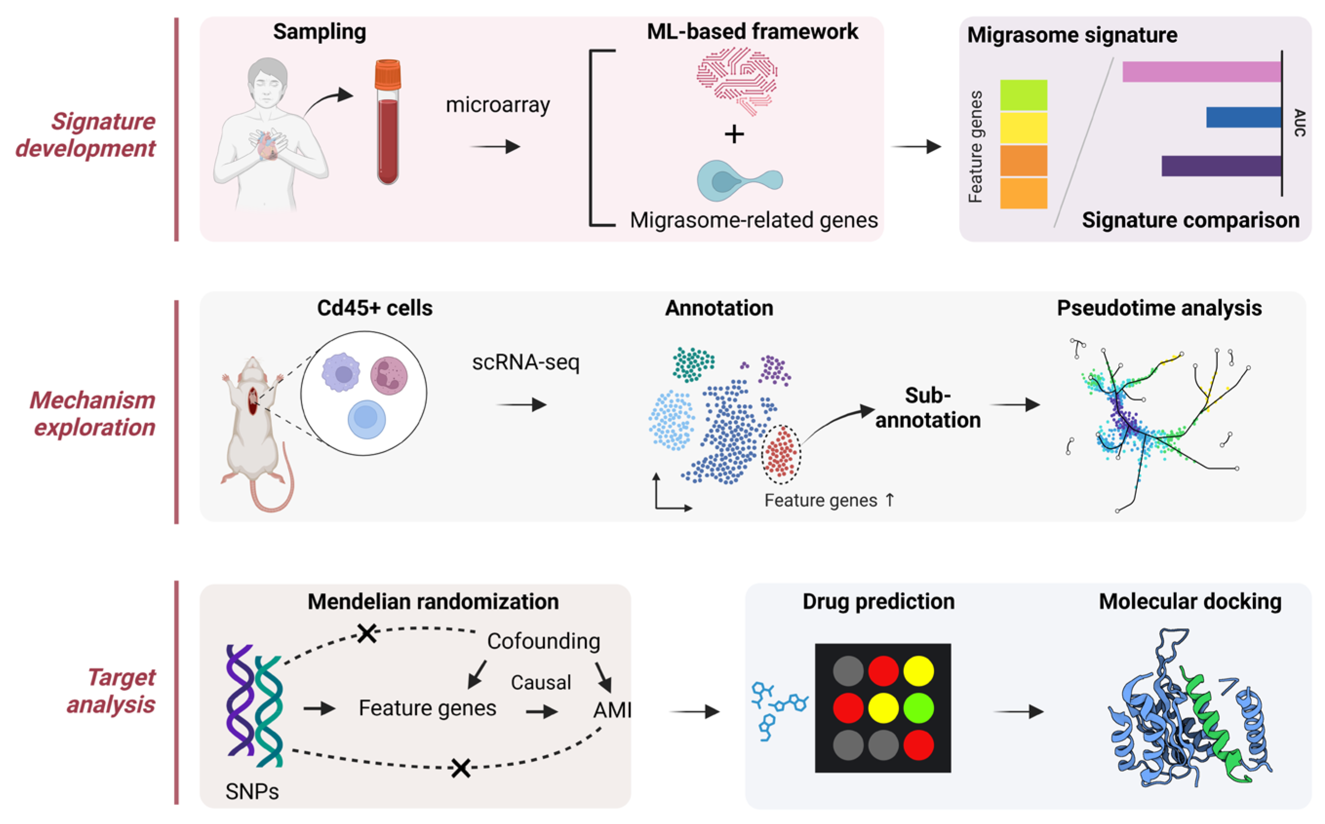 Biomedicines 12 01626 g001 Biomedicines 12 01626 g001