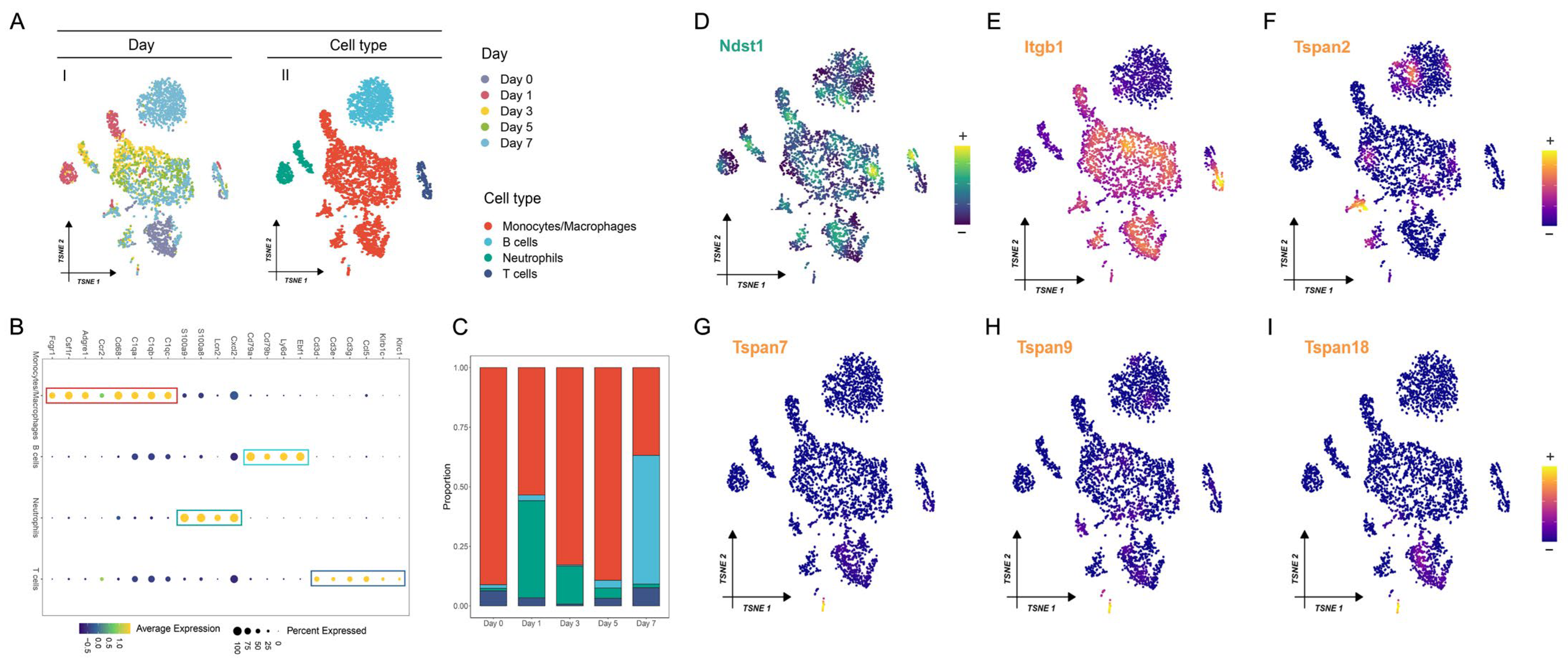 Biomedicines 12 01626 g004 Biomedicines 12 01626 g004