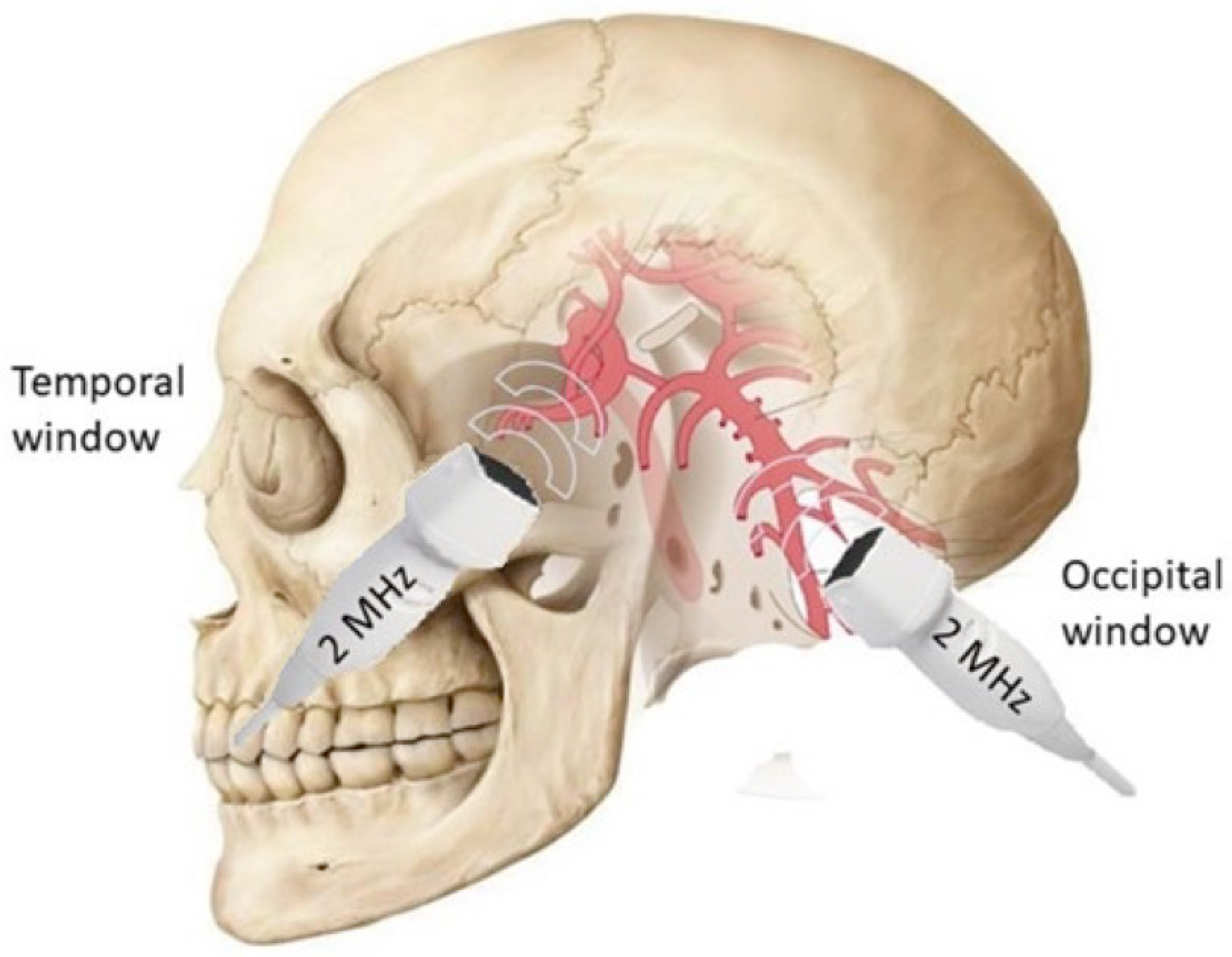 Biomedicines 12 01627 g001 Biomedicines 12 01627 g001