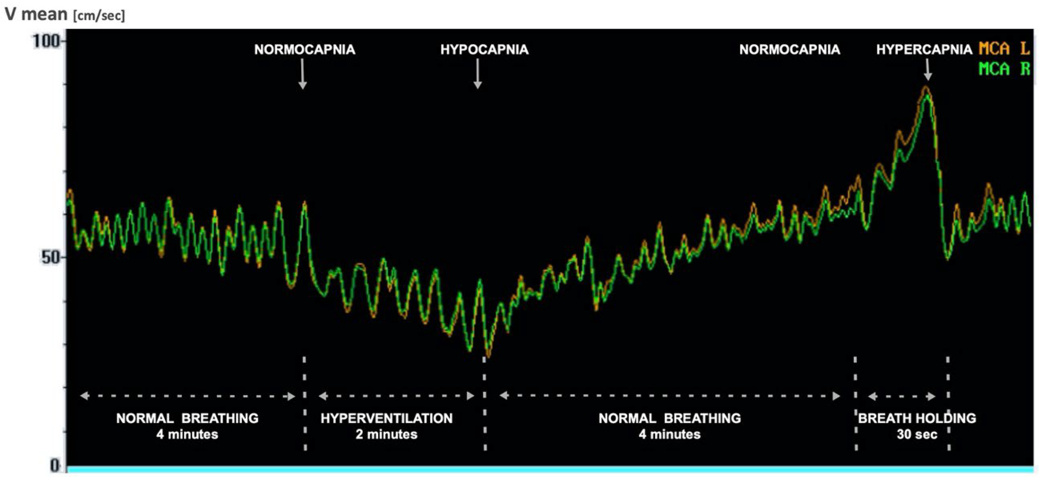 Biomedicines 12 01627 g002 Biomedicines 12 01627 g002