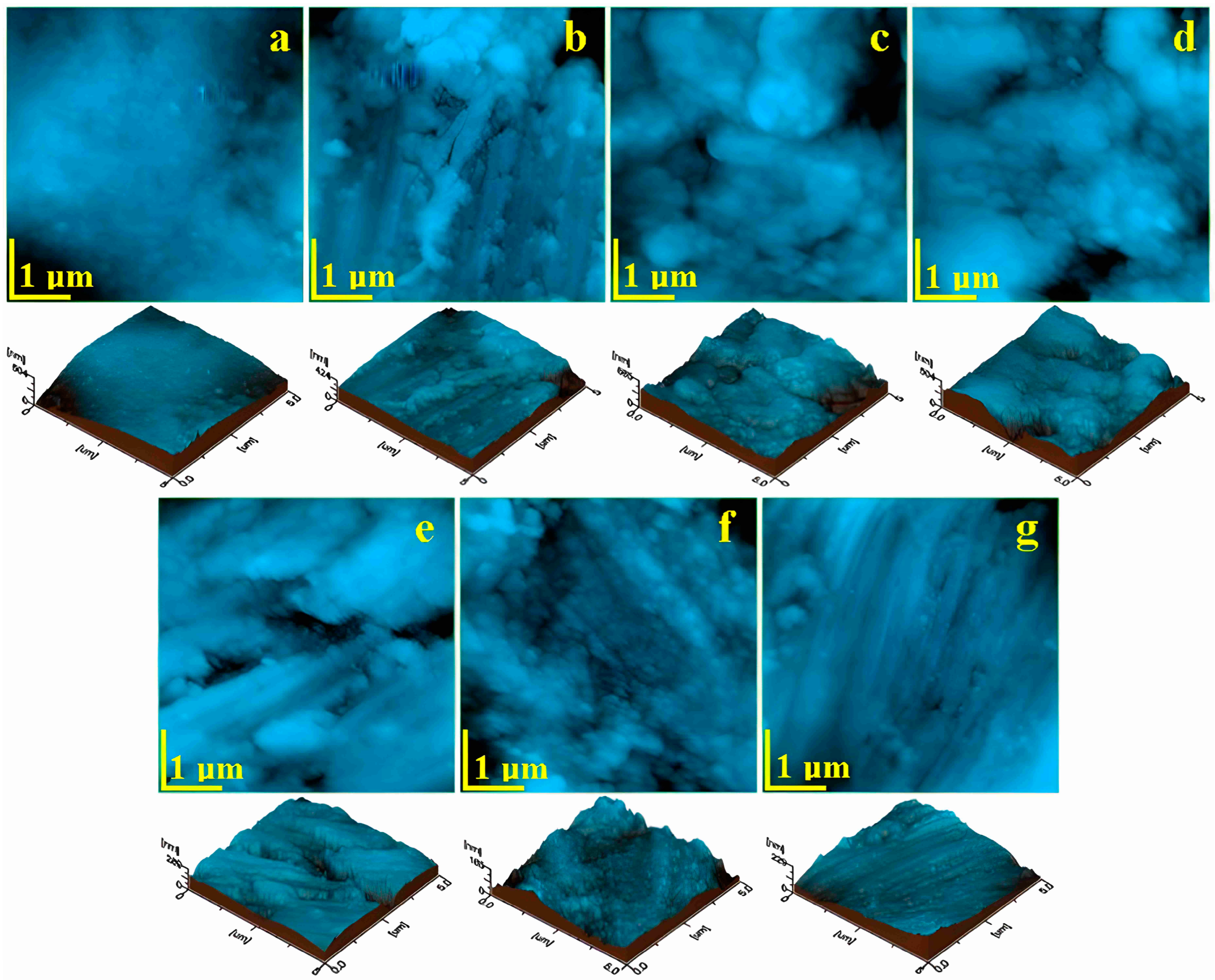 Biomedicines 12 01629 g002