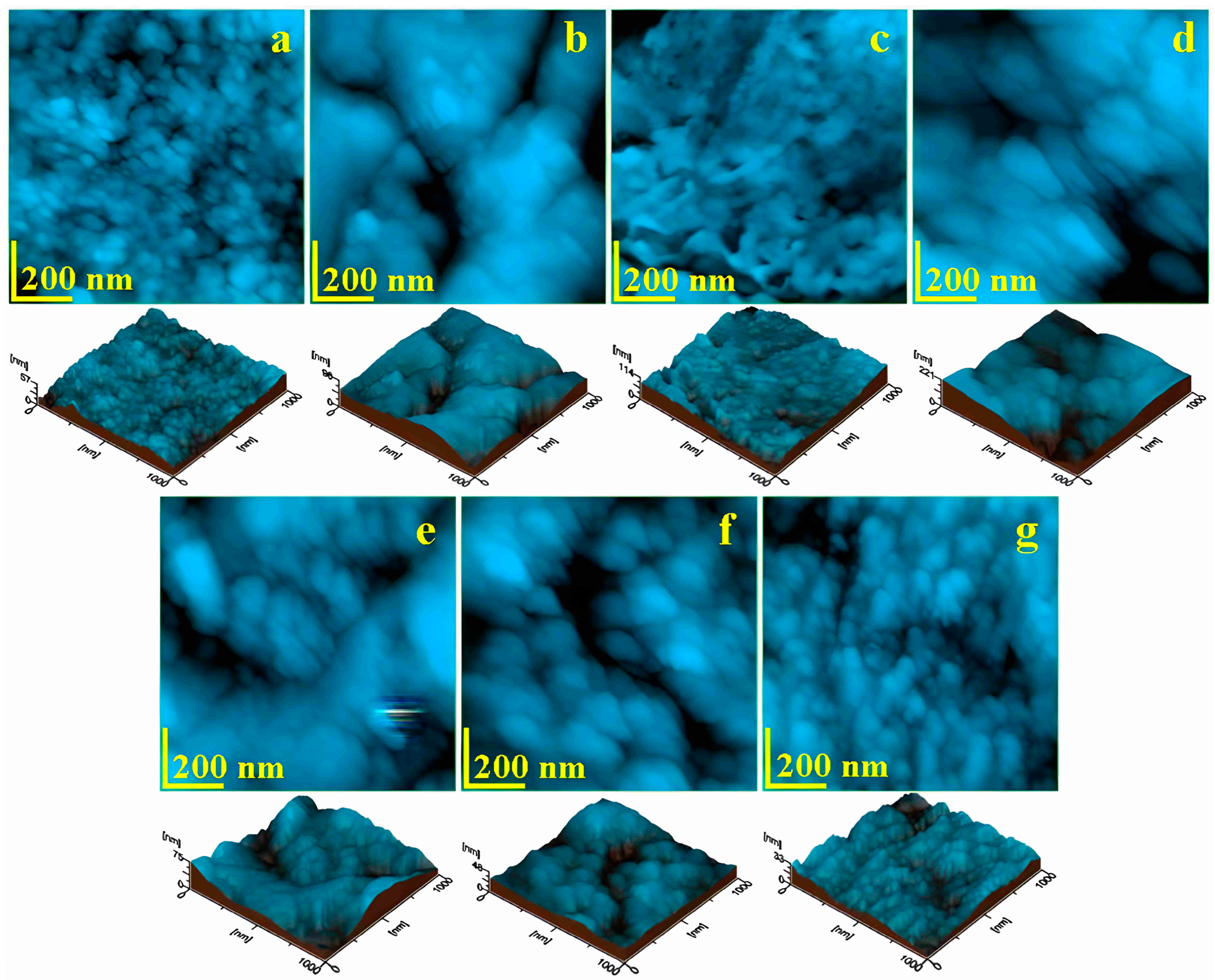Biomedicines 12 01629 g003