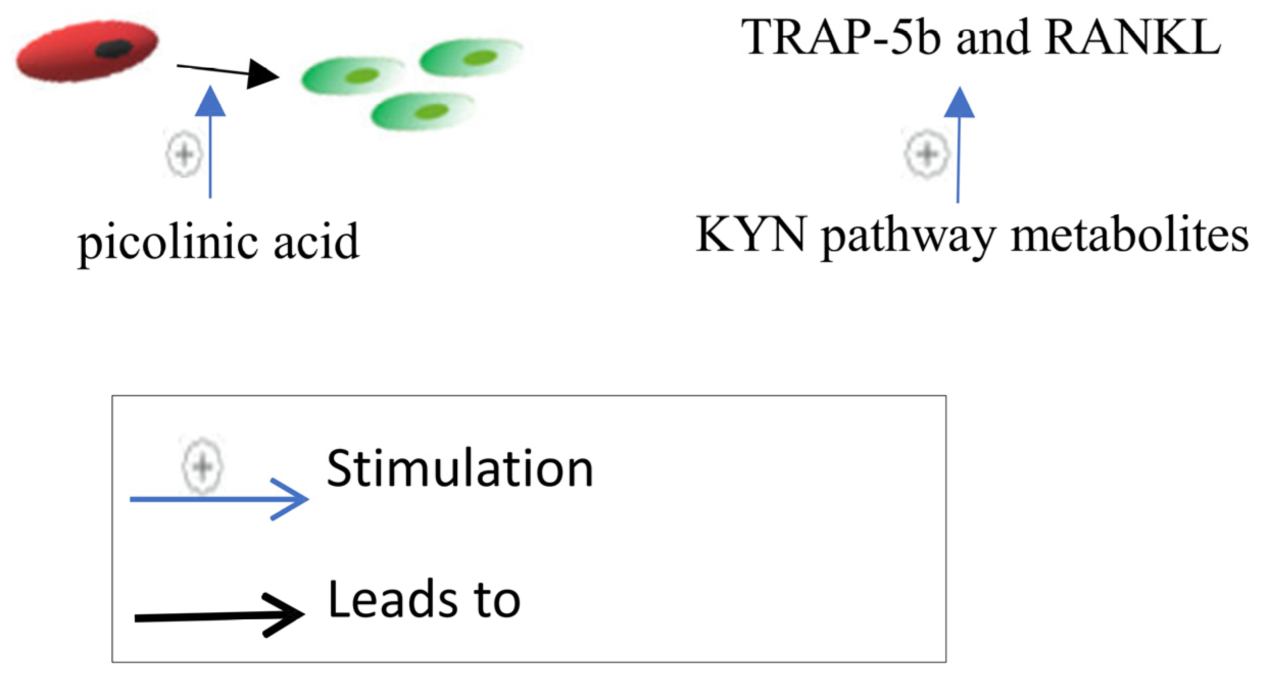 Biomedicines 12 01635 g006 Biomedicines 12 01635 g006