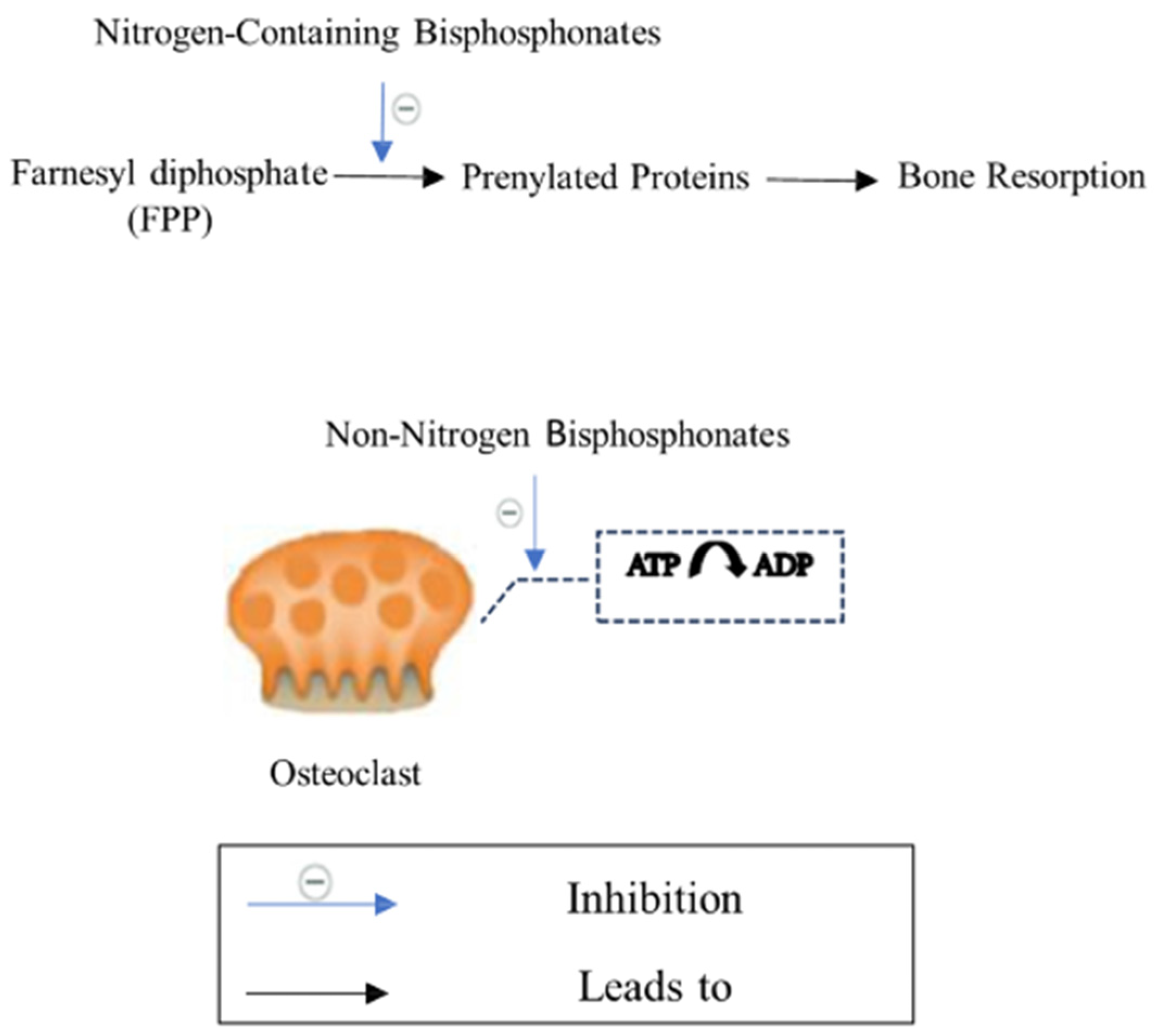 Biomedicines 12 01635 g009 Biomedicines 12 01635 g009