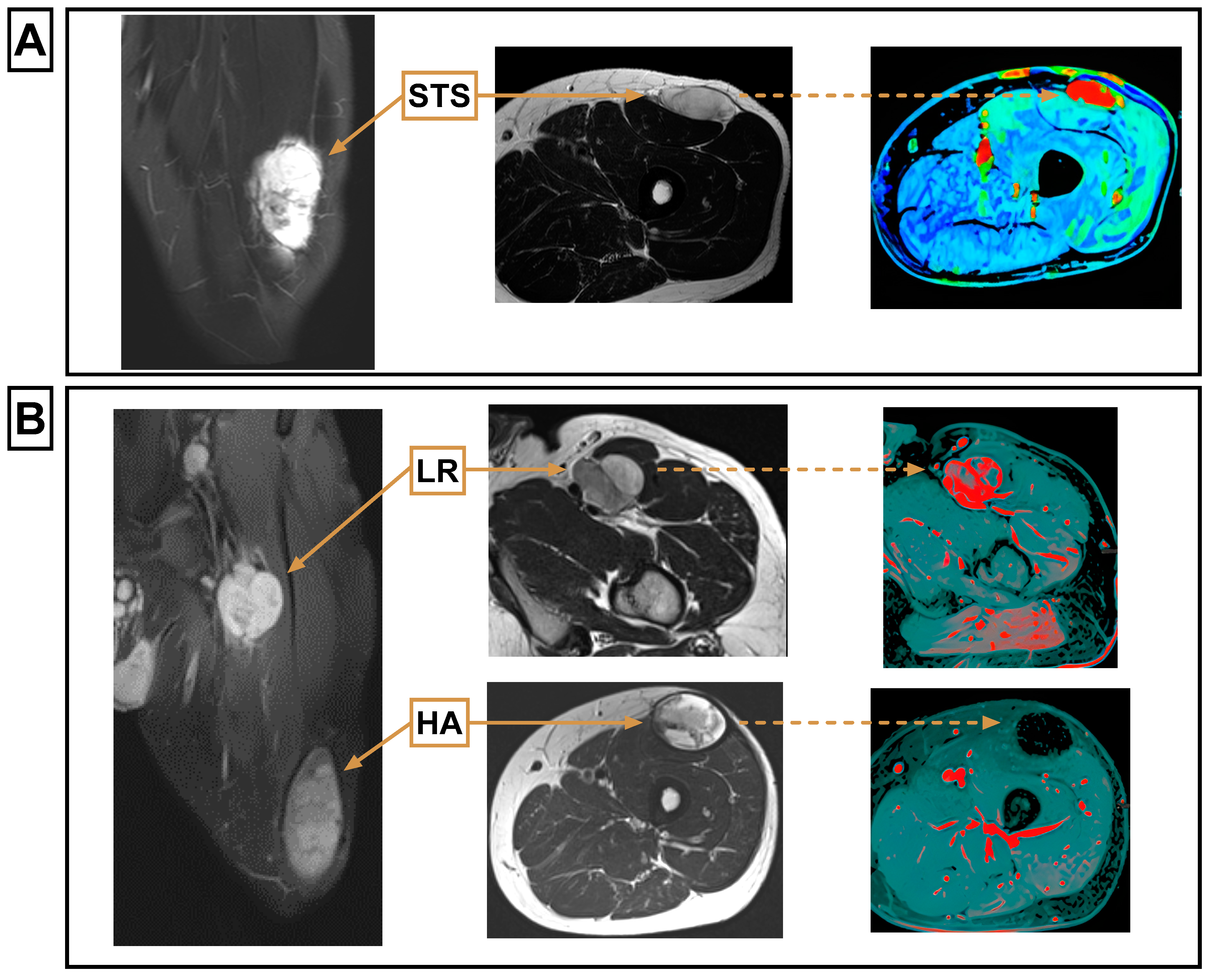 Biomedicines 12 01640 g004