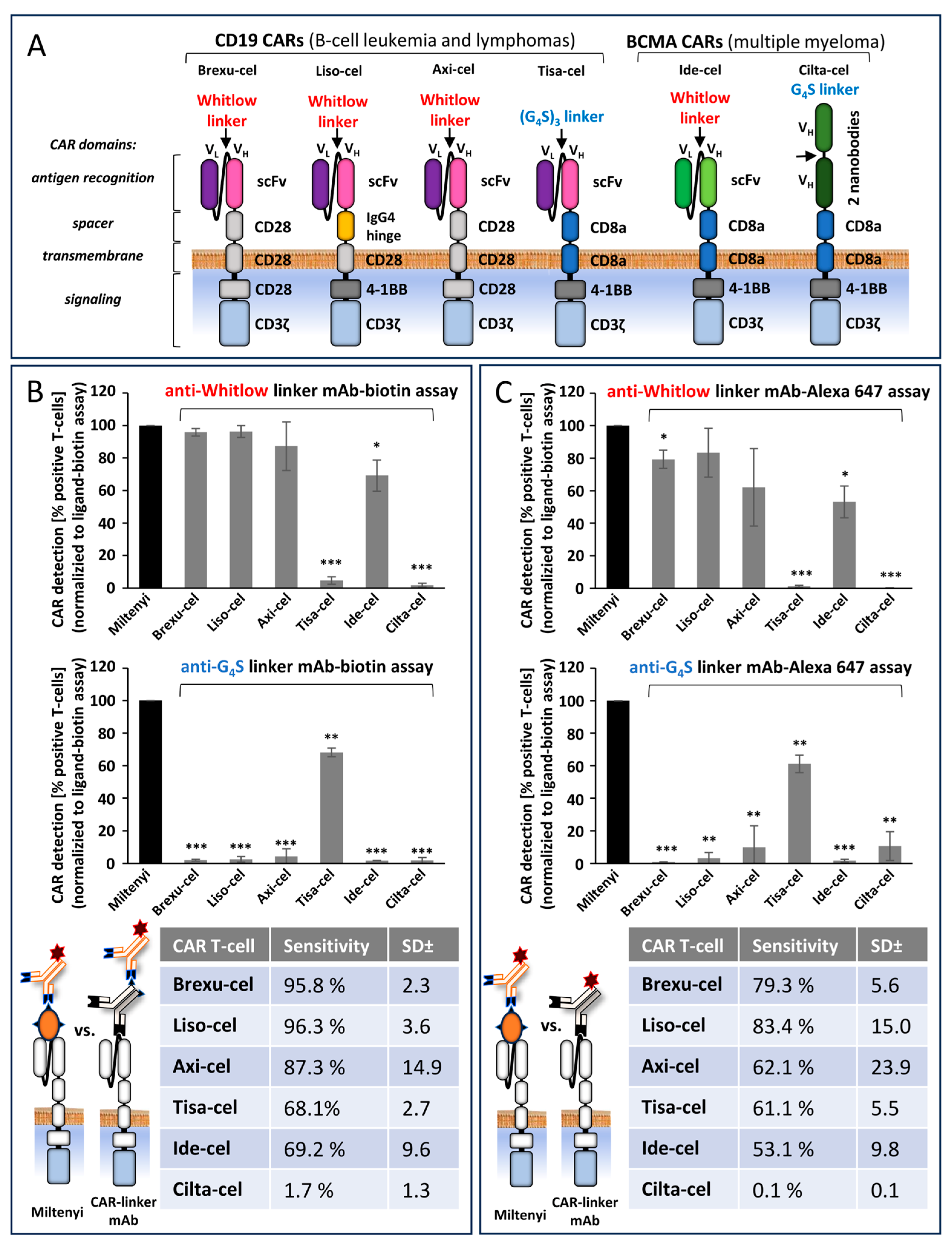 Biomedicines 12 01641 g002
