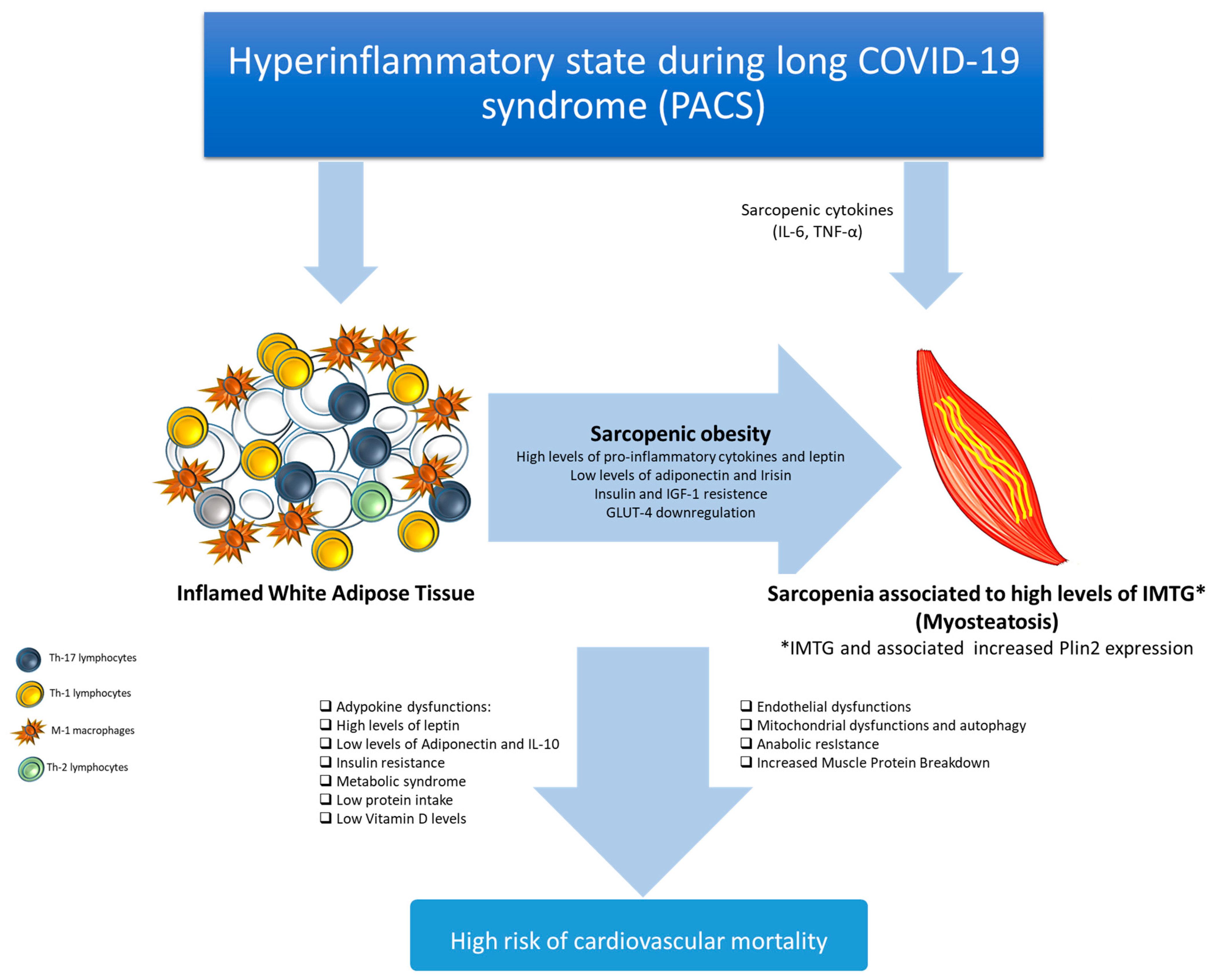 Biomedicines 12 01650 g004