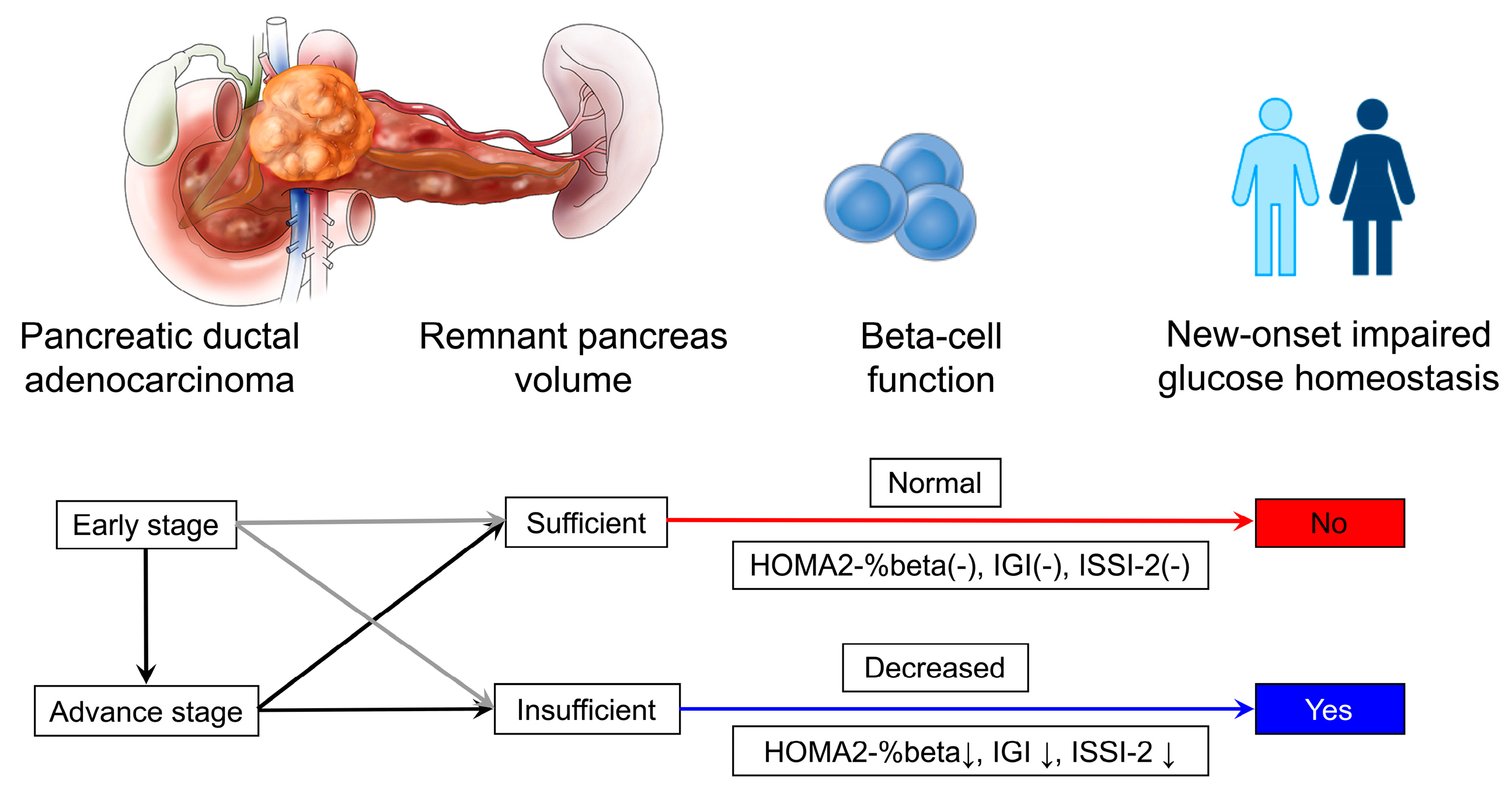 Biomedicines 12 01653 g005