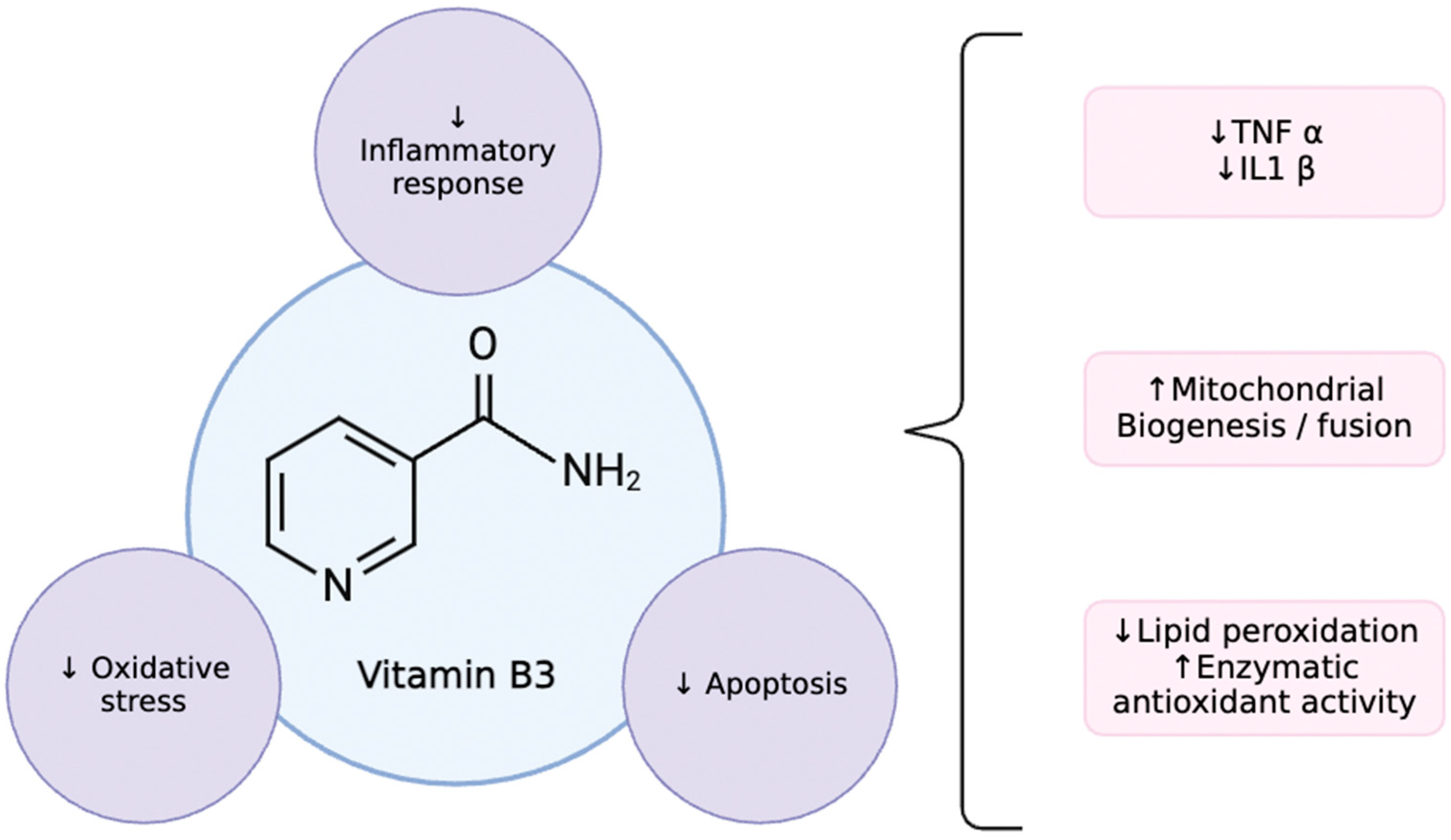 Biomedicines 12 01655 g001
