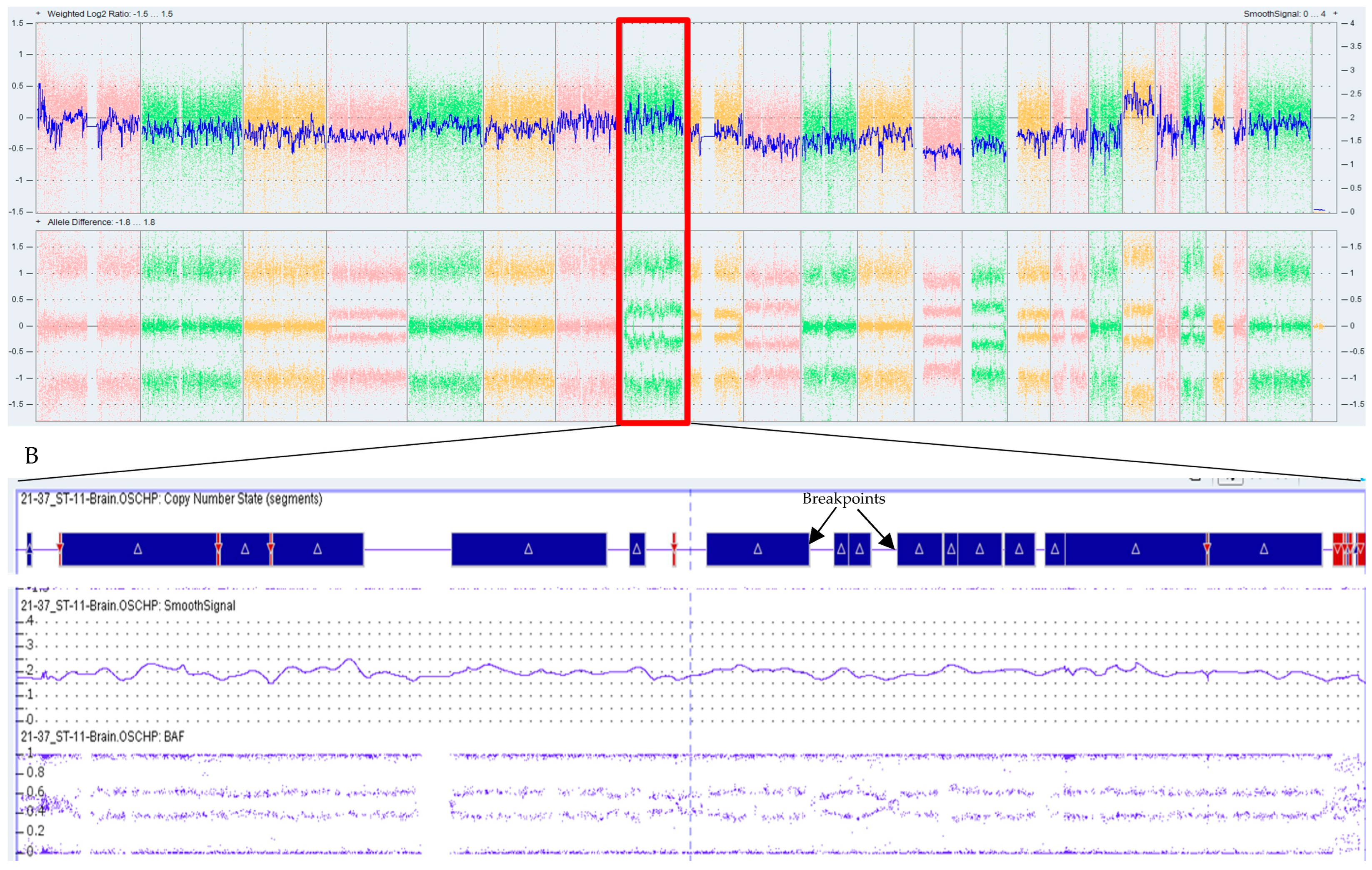 Biomedicines 12 01659 g002