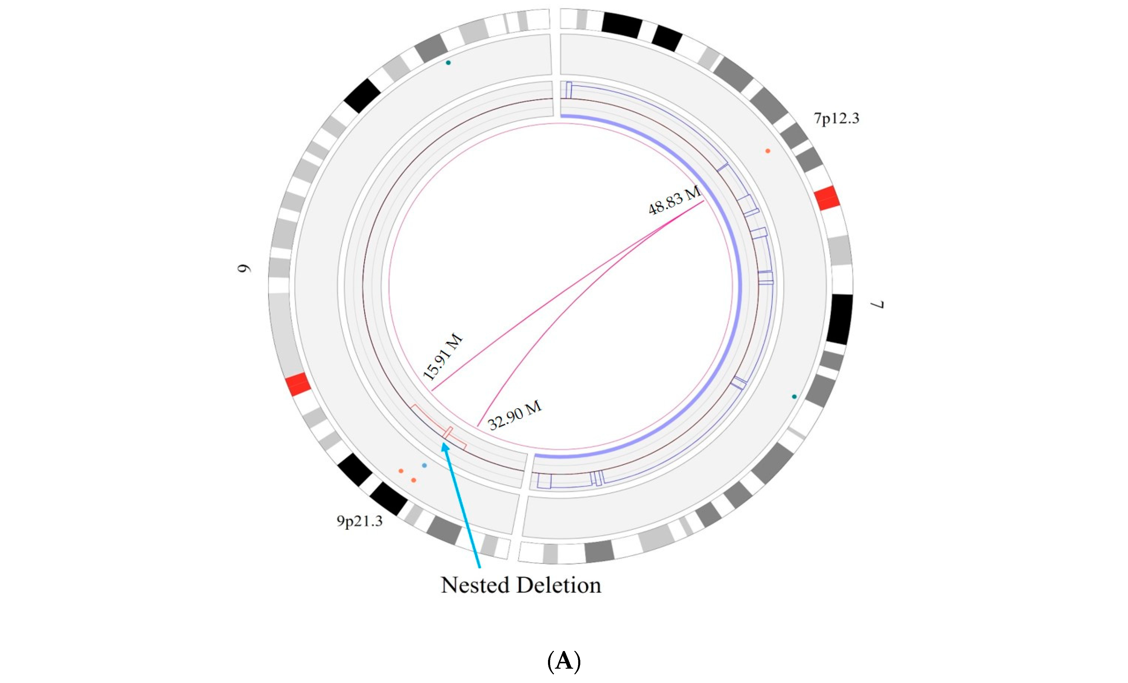 Biomedicines 12 01659 g005a