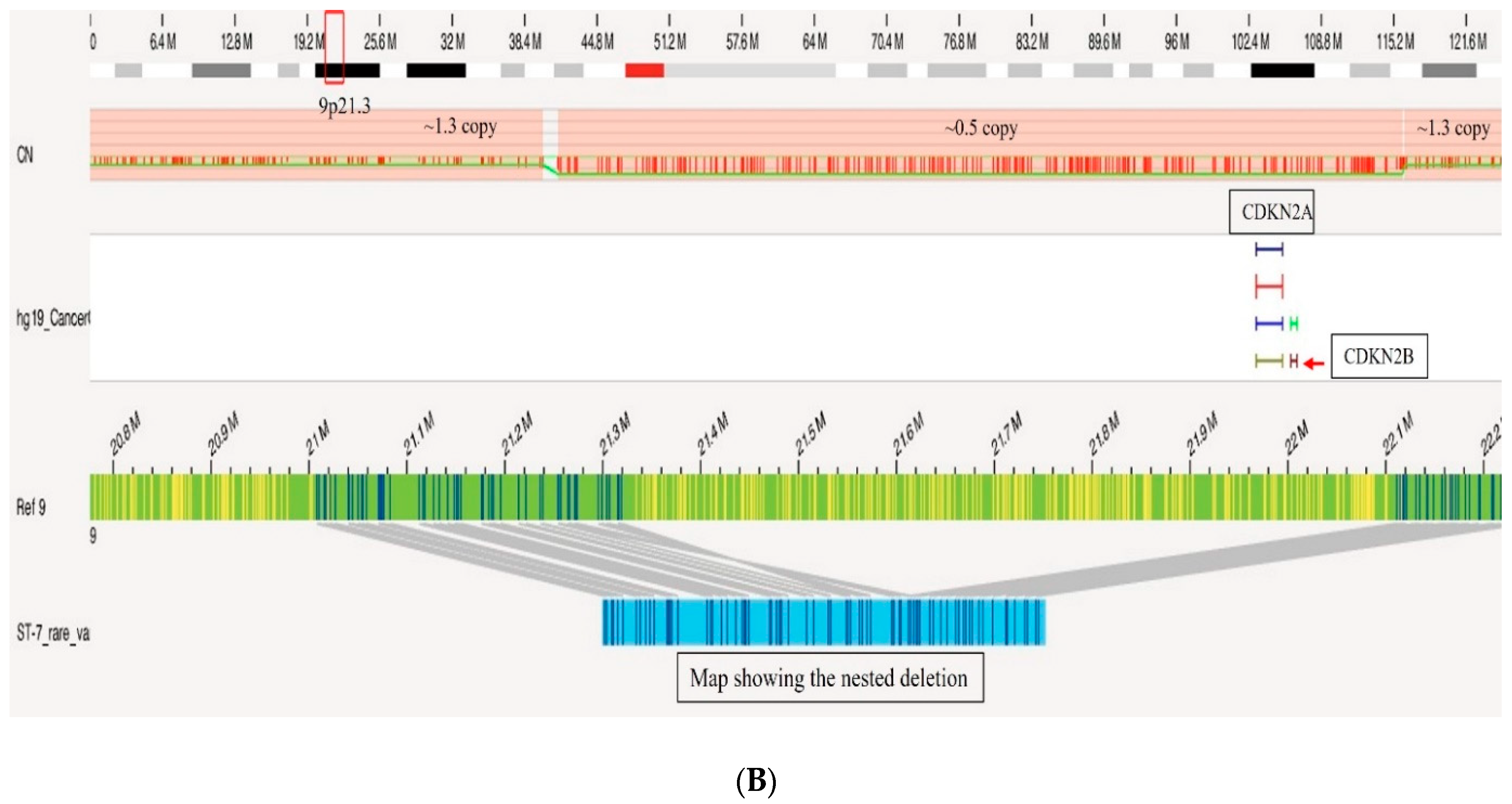 Biomedicines 12 01659 g005b