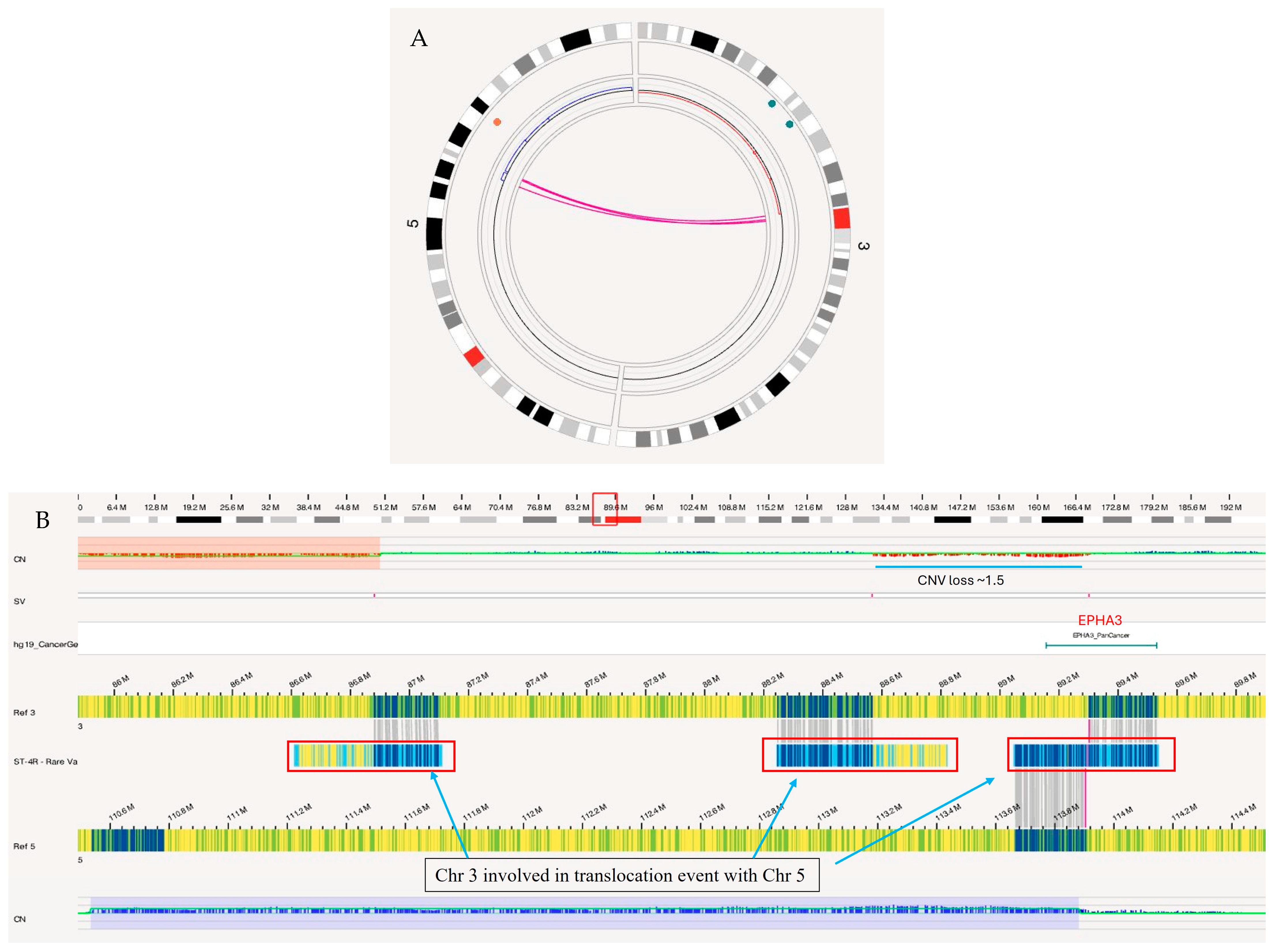 Biomedicines 12 01659 g007