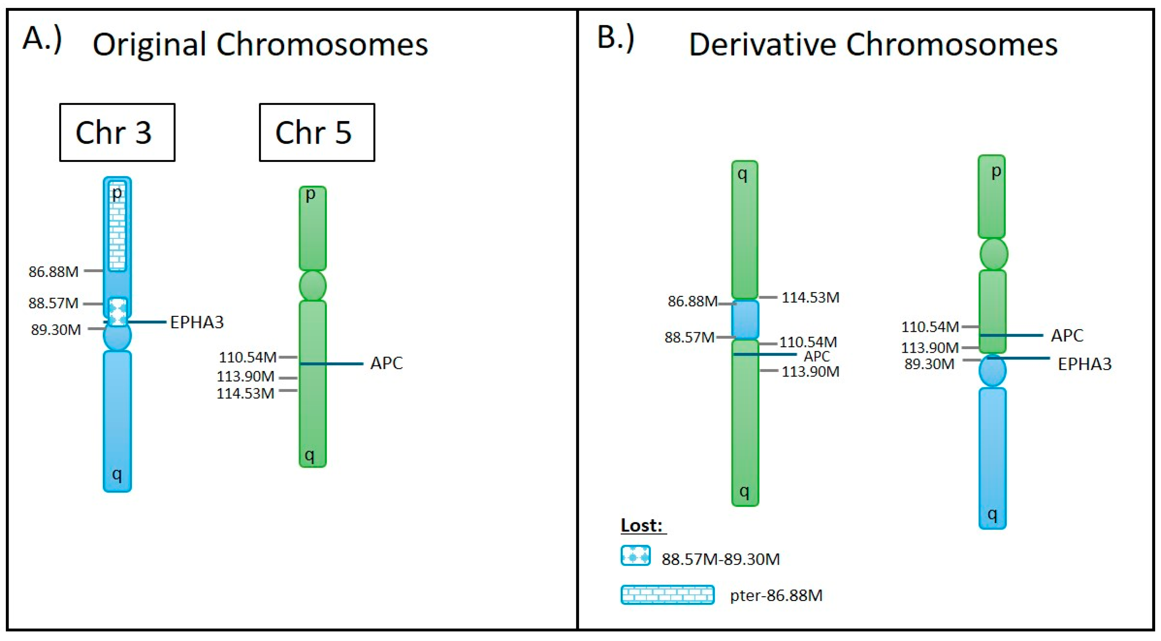 Biomedicines 12 01659 g008