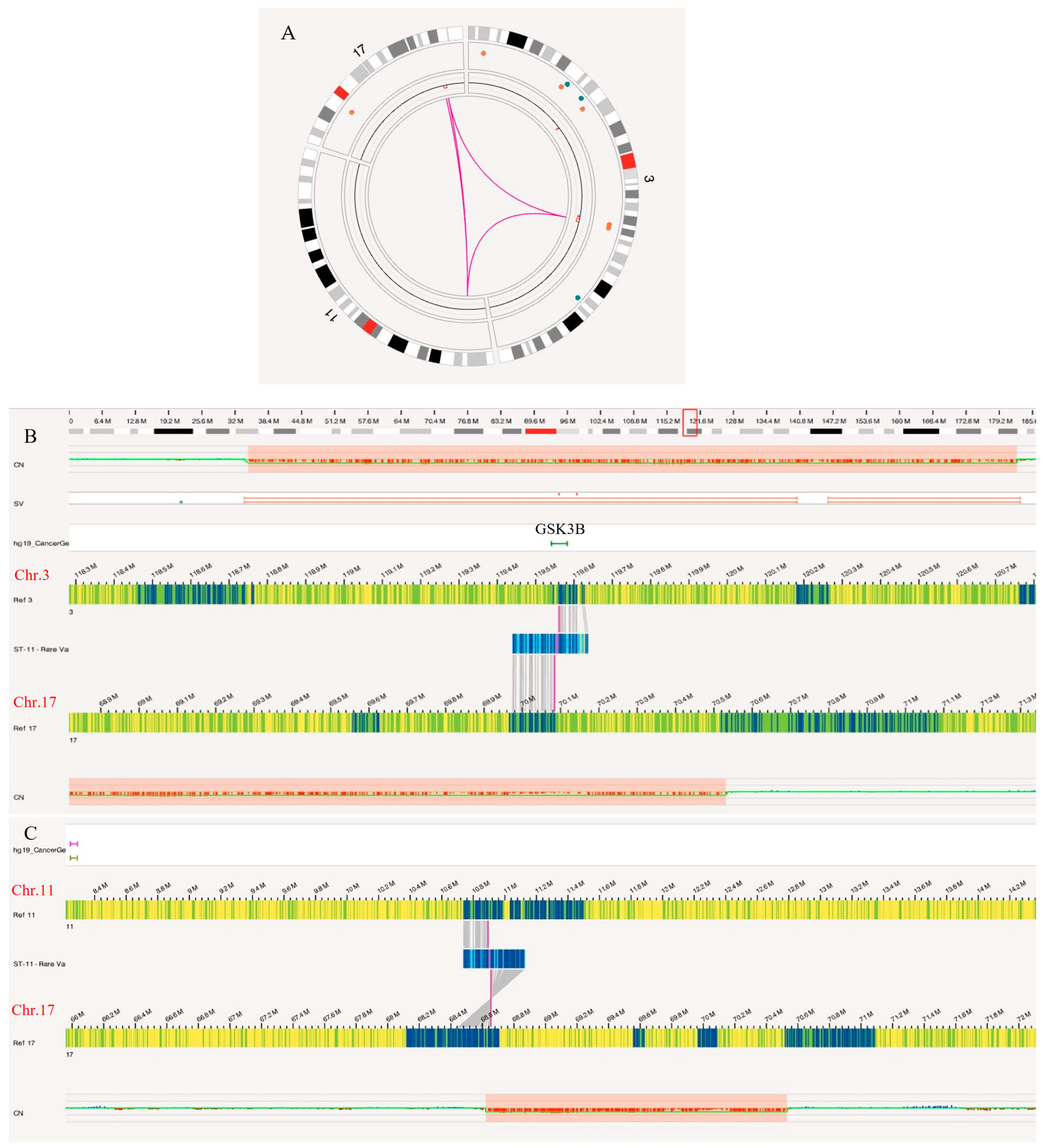 Biomedicines 12 01659 g009